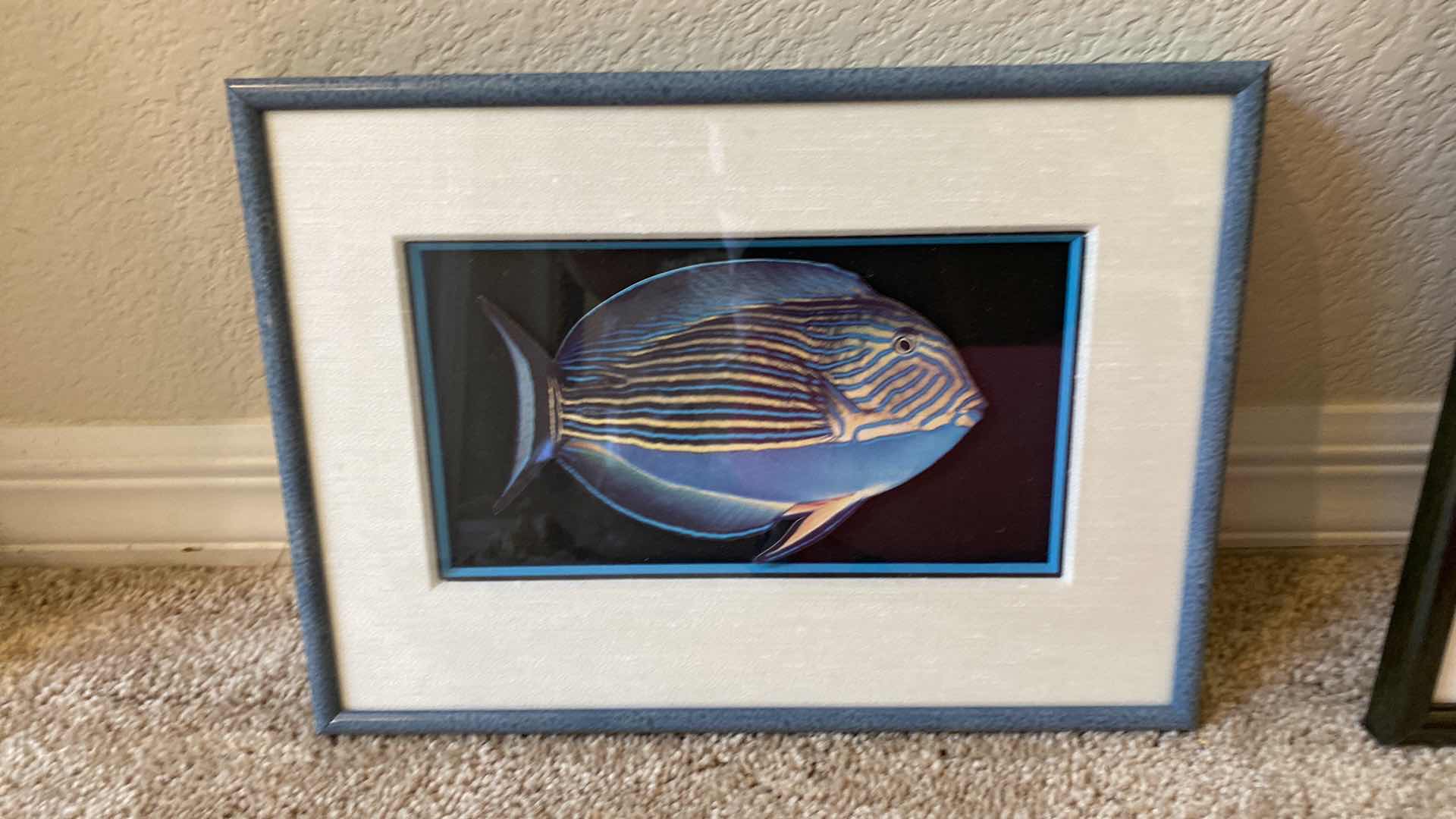 Photo 5 of 3 FRAMED FISH ARTWORK LARGEST 16 1/2” x 13”