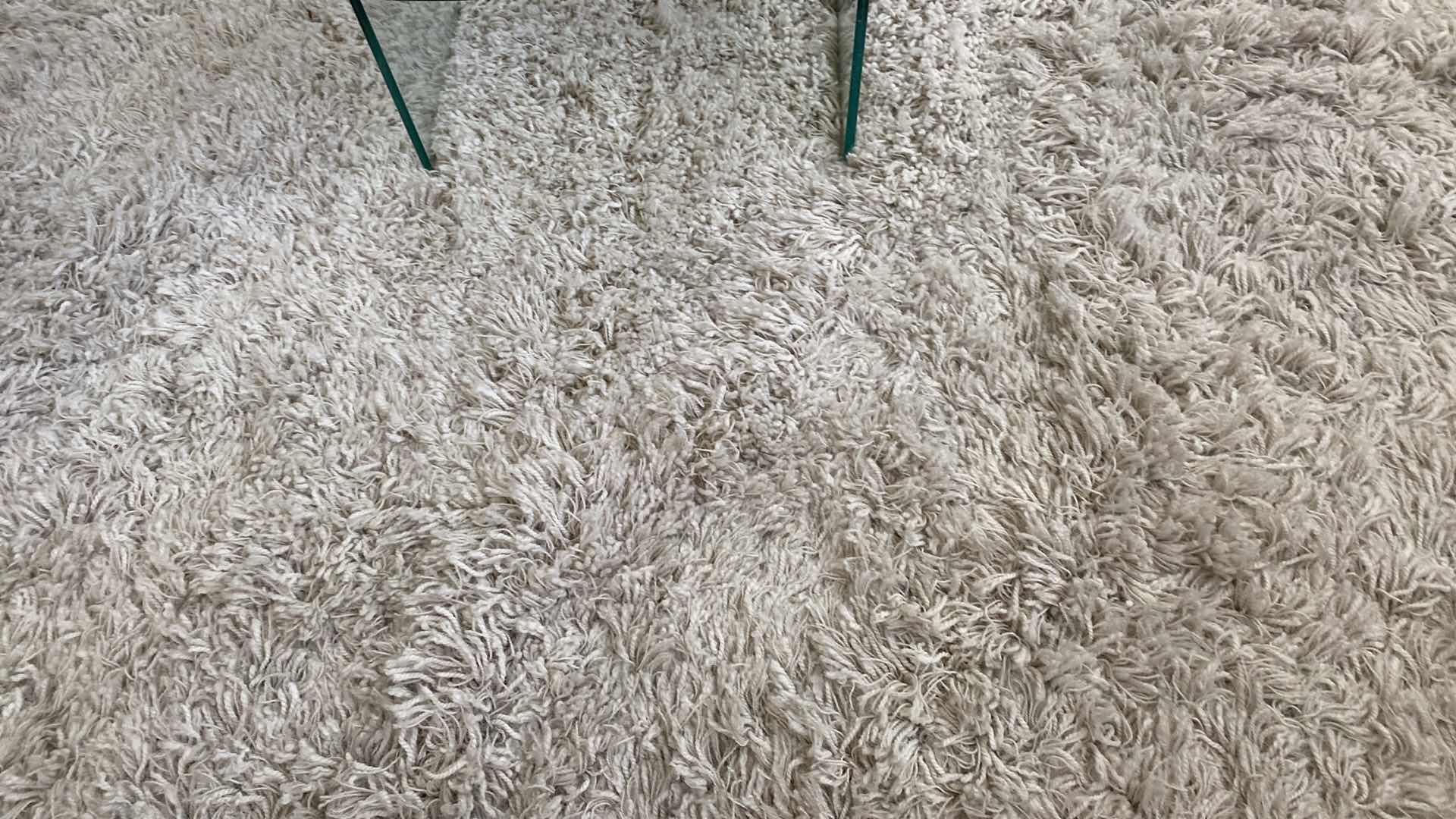 Photo 4 of CREAM SHAG AREA RUG 9’ x 9’