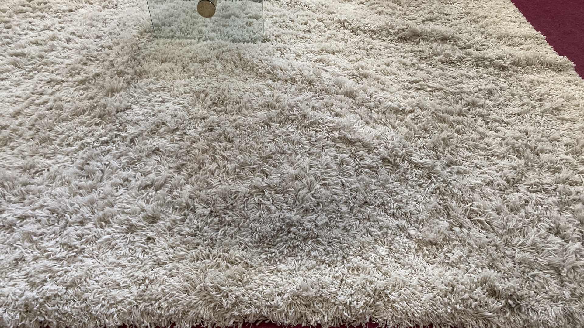 Photo 2 of CREAM SHAG AREA RUG 9’ x 9’