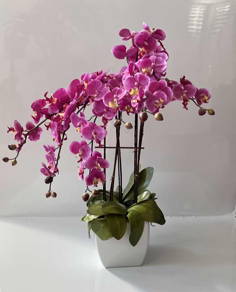 Photo 1 of FAUX ORCHID IN WHITE CERAMIC POT H 28”