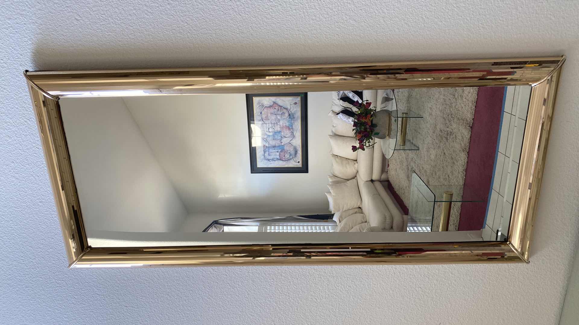 Photo 1 of POLISHED GOLD METAL FRAMED MIRROR 23” x 54”