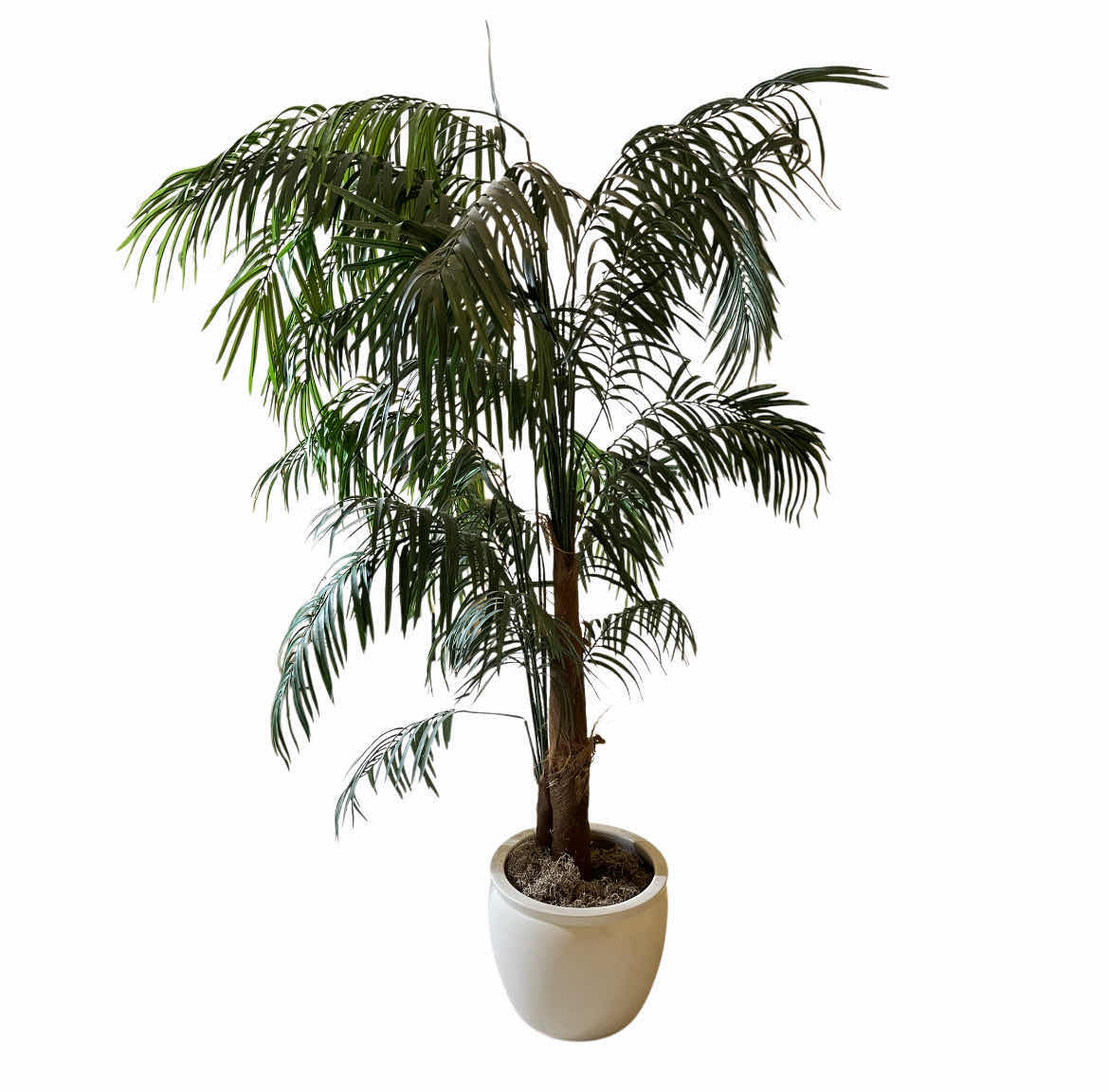 Photo 1 of TROPICAL PALM FAUX TREE W CERAMIC POT 45” X 80”