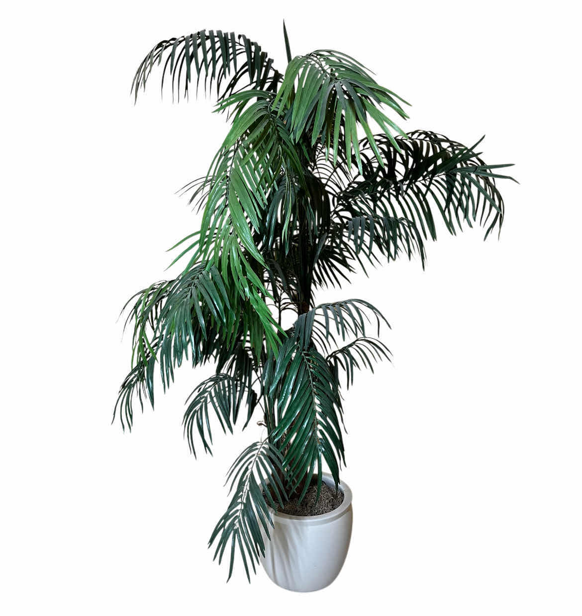 Photo 1 of TROPICAL PALM FAUX TREE W CERAMIC POT 45” X 80”