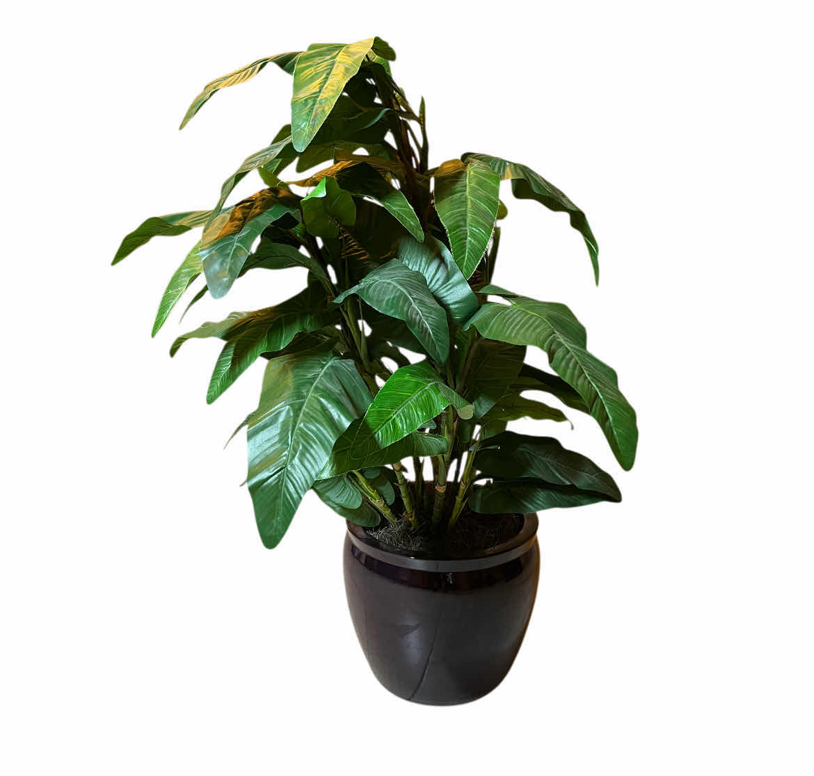 Photo 1 of TROPICAL POTTED FAUX PLANT W CERAMIC POT 28” X 44”