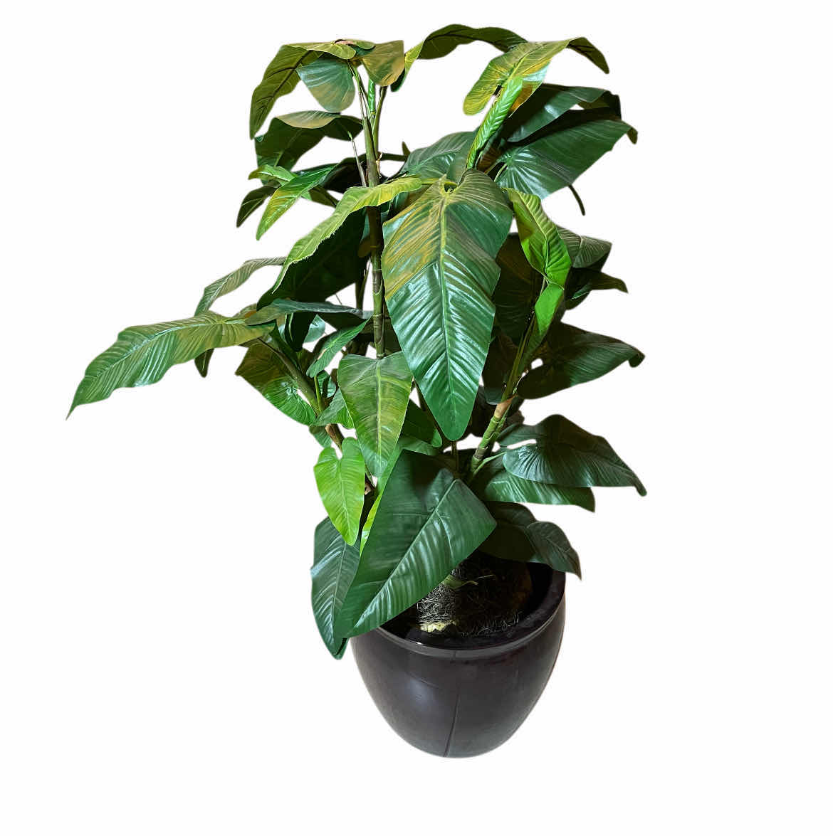 Photo 1 of TROPICAL POTTED FAUX PLANT W CERAMIC POT 28” X 44”
