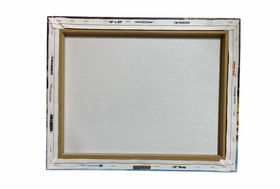 Photo 1 of EASY CANVAS PRINTS CARREIRA TROLLEY ARTWORK 20” X 16”
