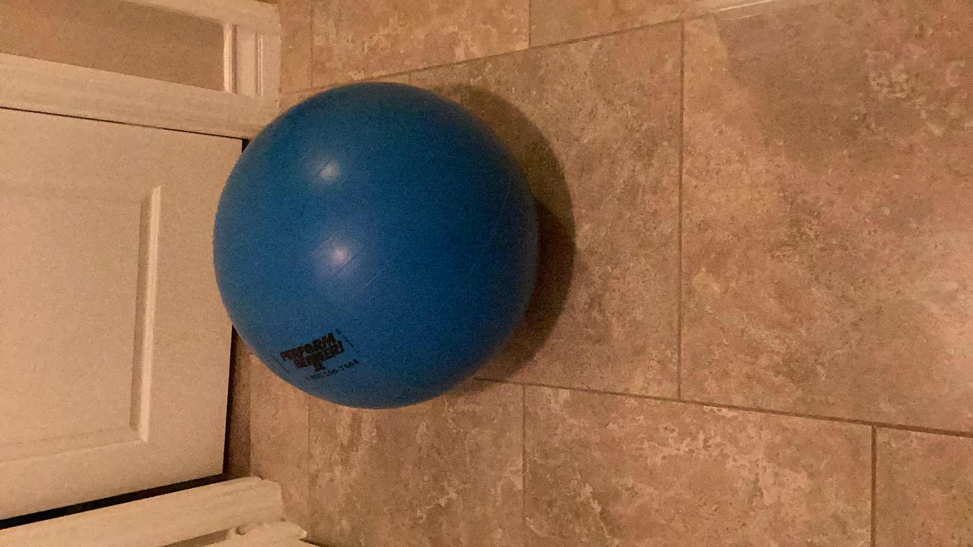Photo 1 of EXERCISE BALL