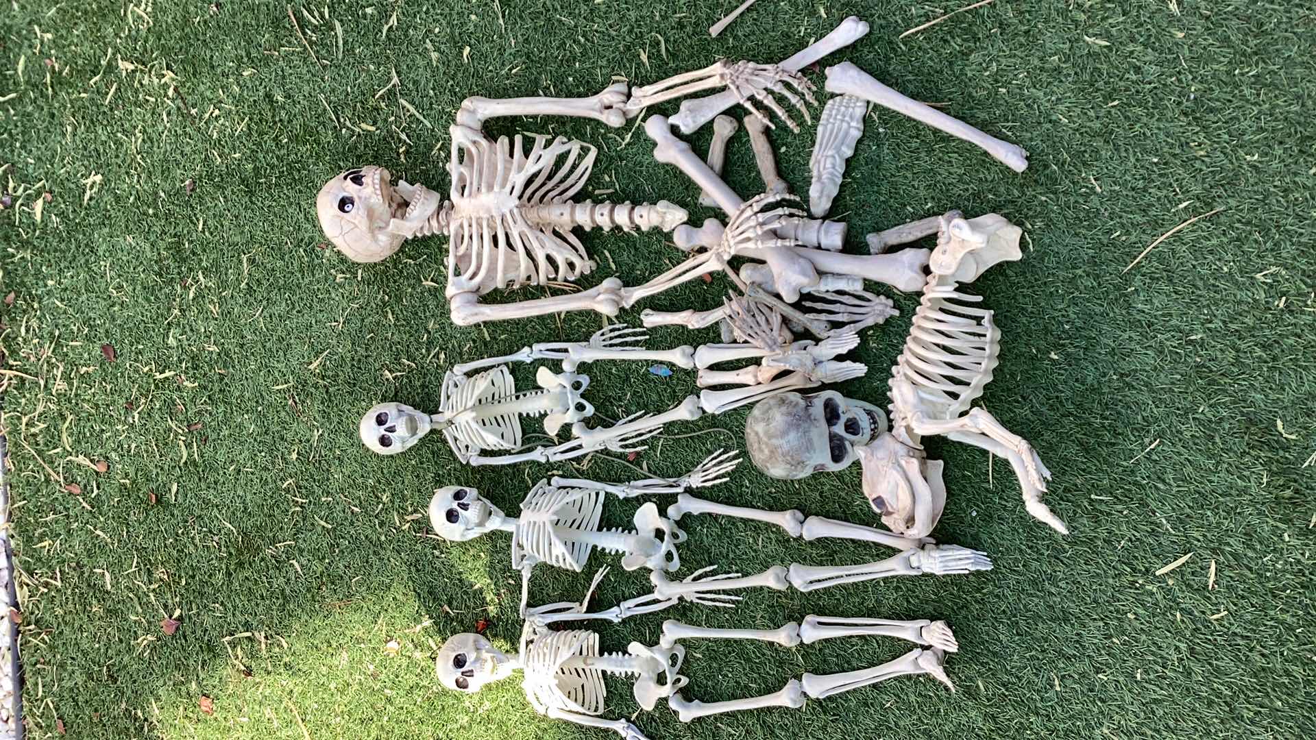 Photo 1 of ASSORTED HALLOWEEN SKELETONS COMPLETE ONES ARE 3 FEET TALL