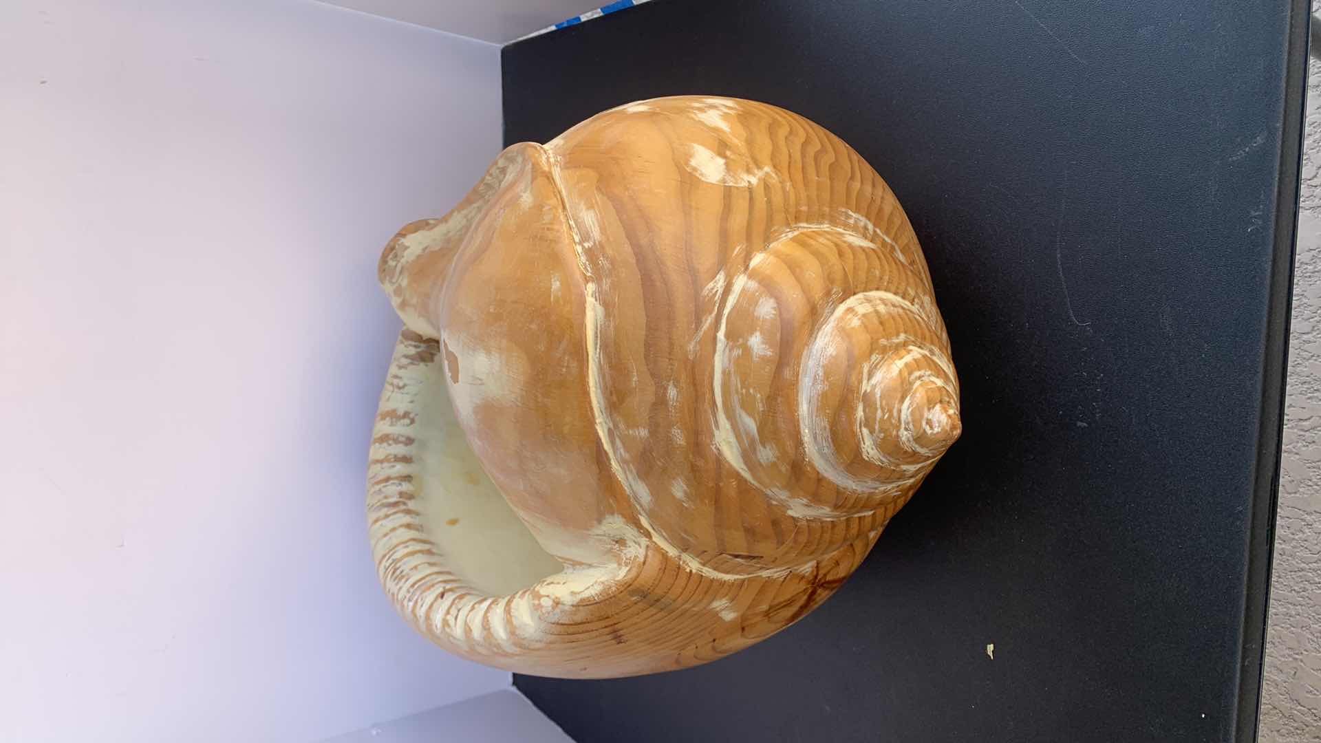 Photo 3 of LARGE WOOD SCULPTURED SHELL, 20” x 14” x H 10”