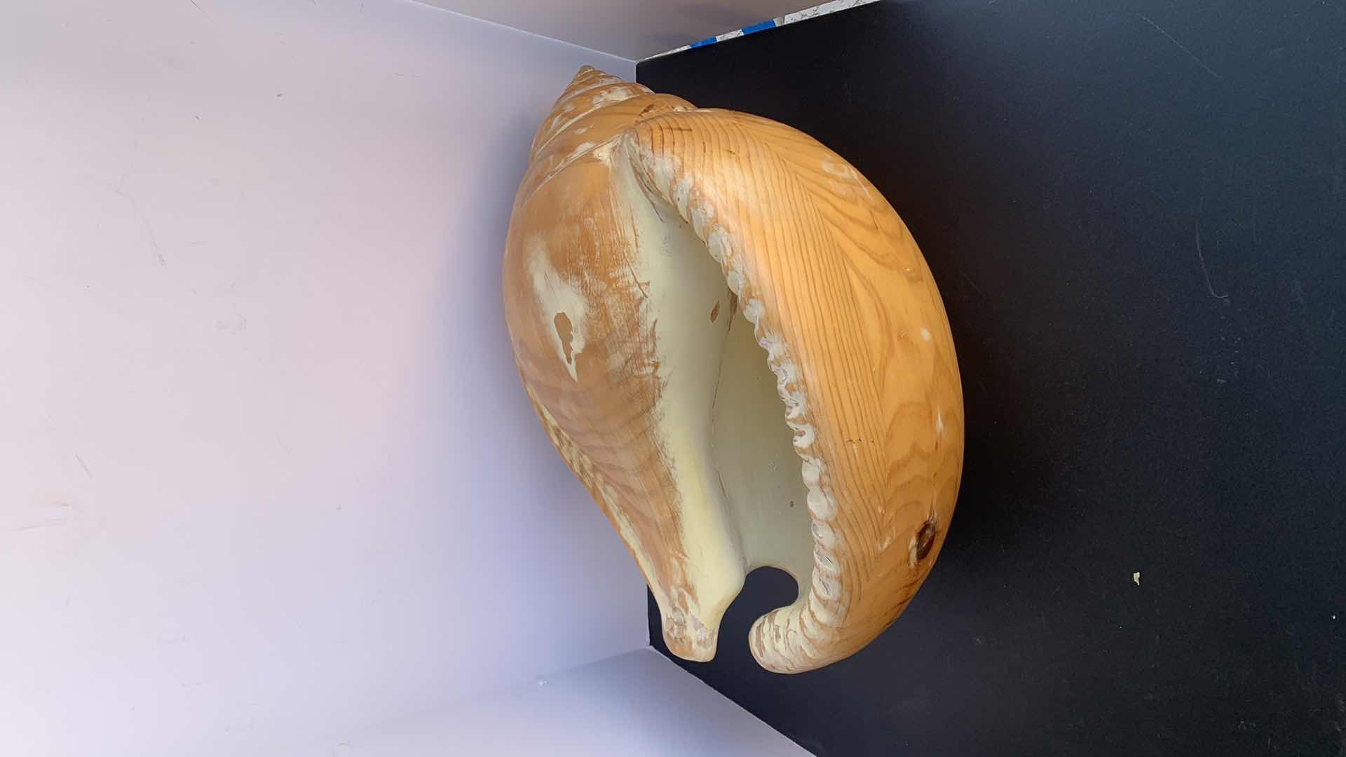 Photo 2 of LARGE WOOD SCULPTURED SHELL, 20” x 14” x H 10”