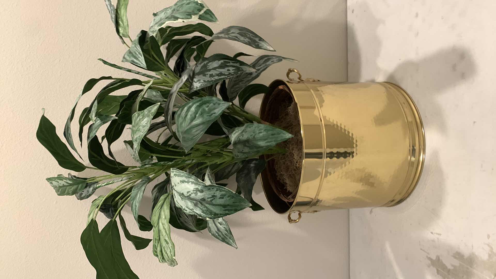 Photo 1 of BRASS PLANTER W HANDLES AND FAUX PLANT, 16 x H44”