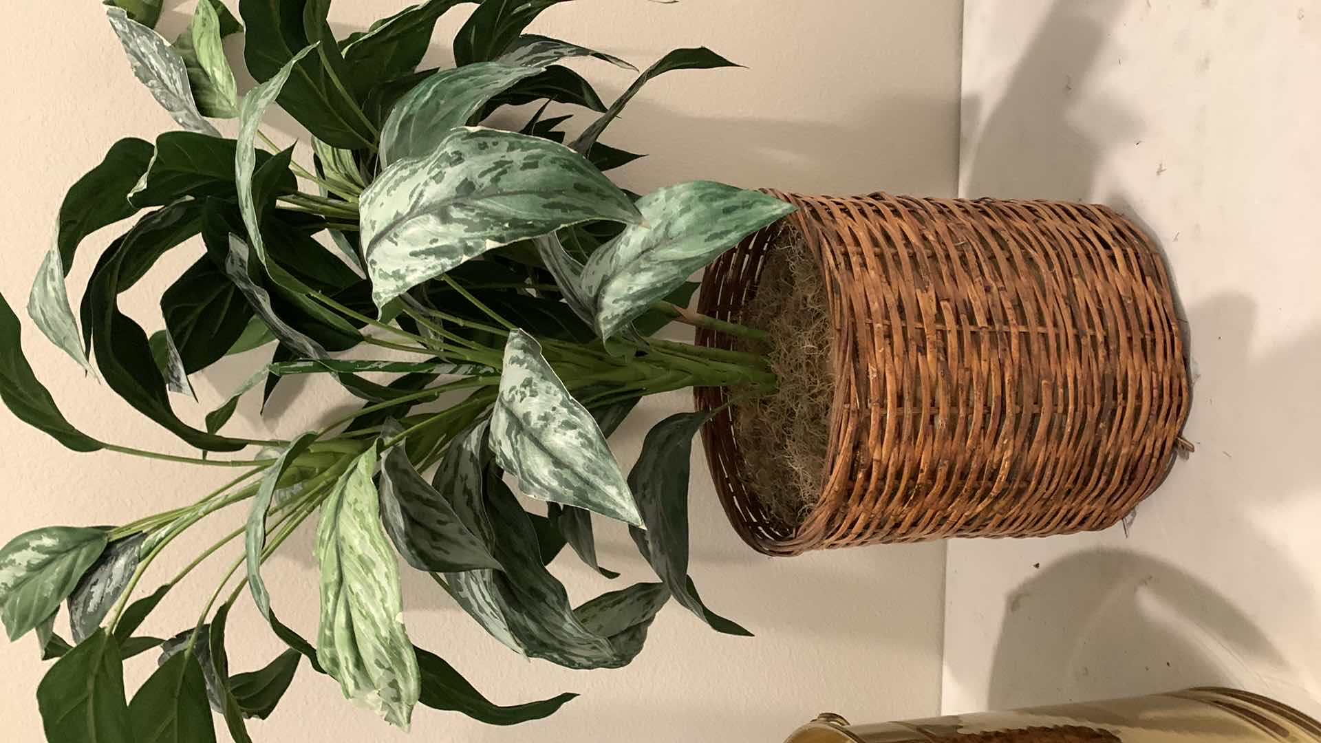 Photo 6 of BRASS PLANTER W HANDLES AND FAUX PLANT, 16 x H44”