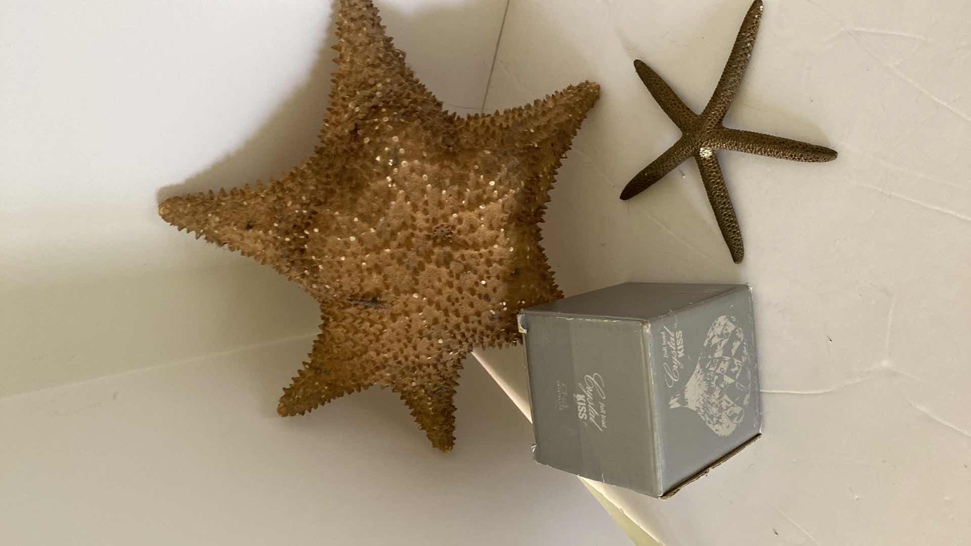 Photo 2 of HOME DECOR STARFISH, SHELLS AND MORE