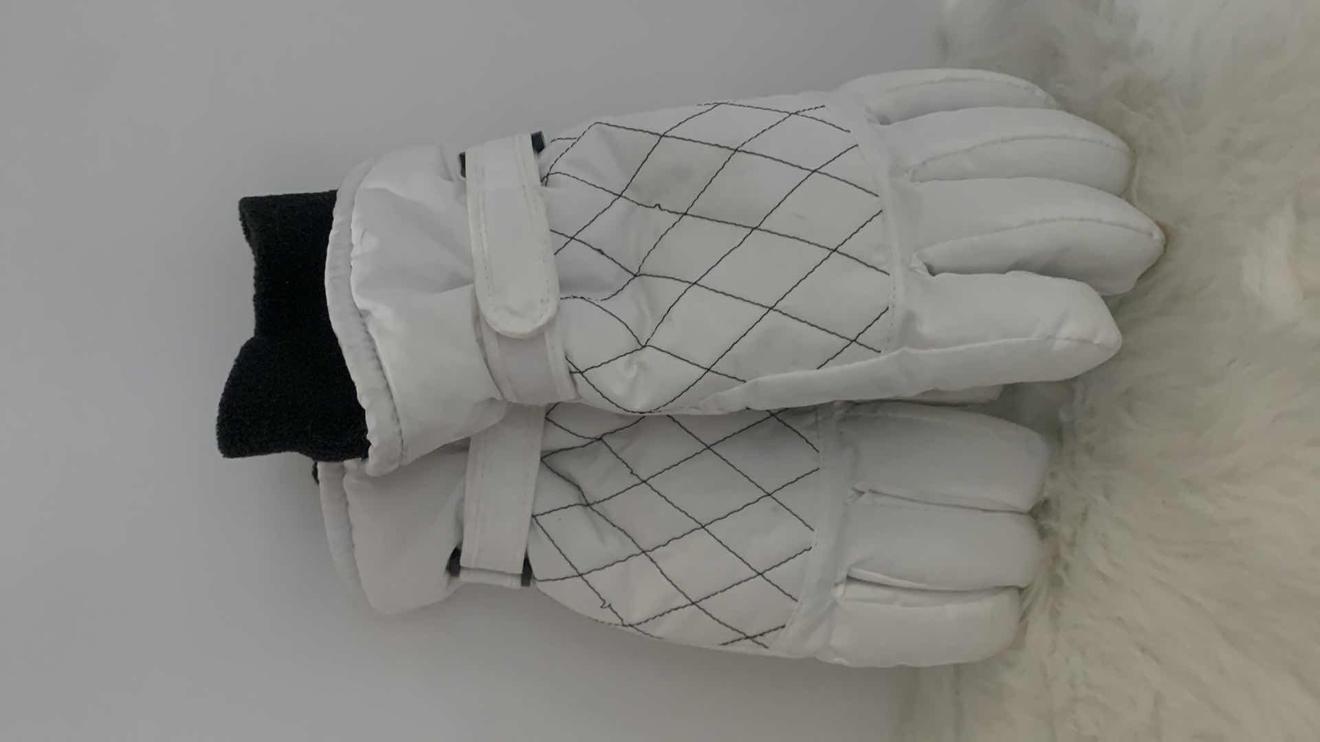 Photo 5 of NEW SNOW GOGGLES AND GLOVES (M-L)