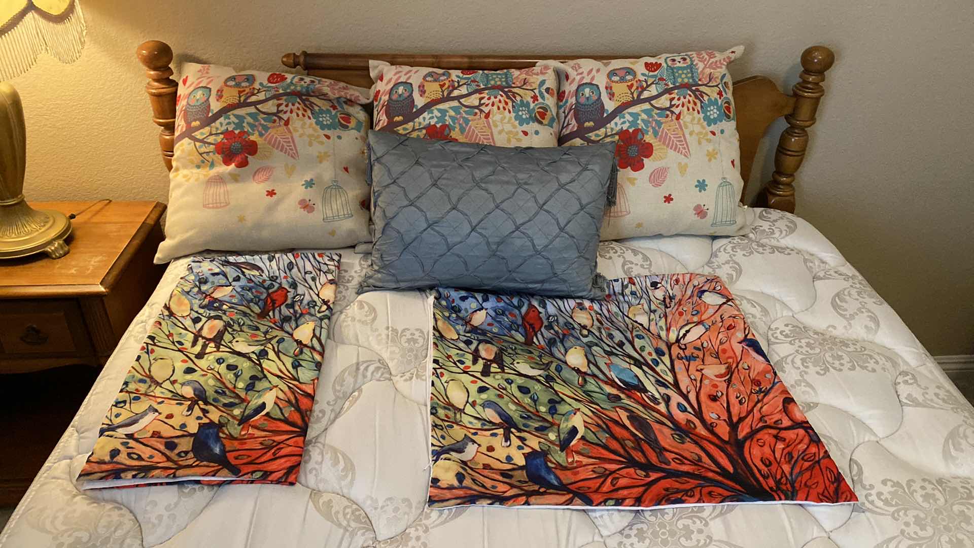 Photo 1 of 4 PILLOWS AND 2 PILLOW COVERS