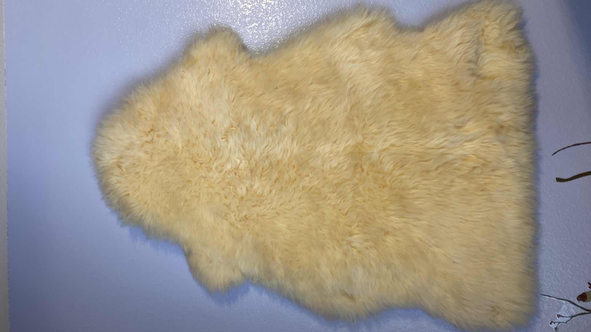 Photo 1 of BEIGE SHEEPSKIN RUG 42”