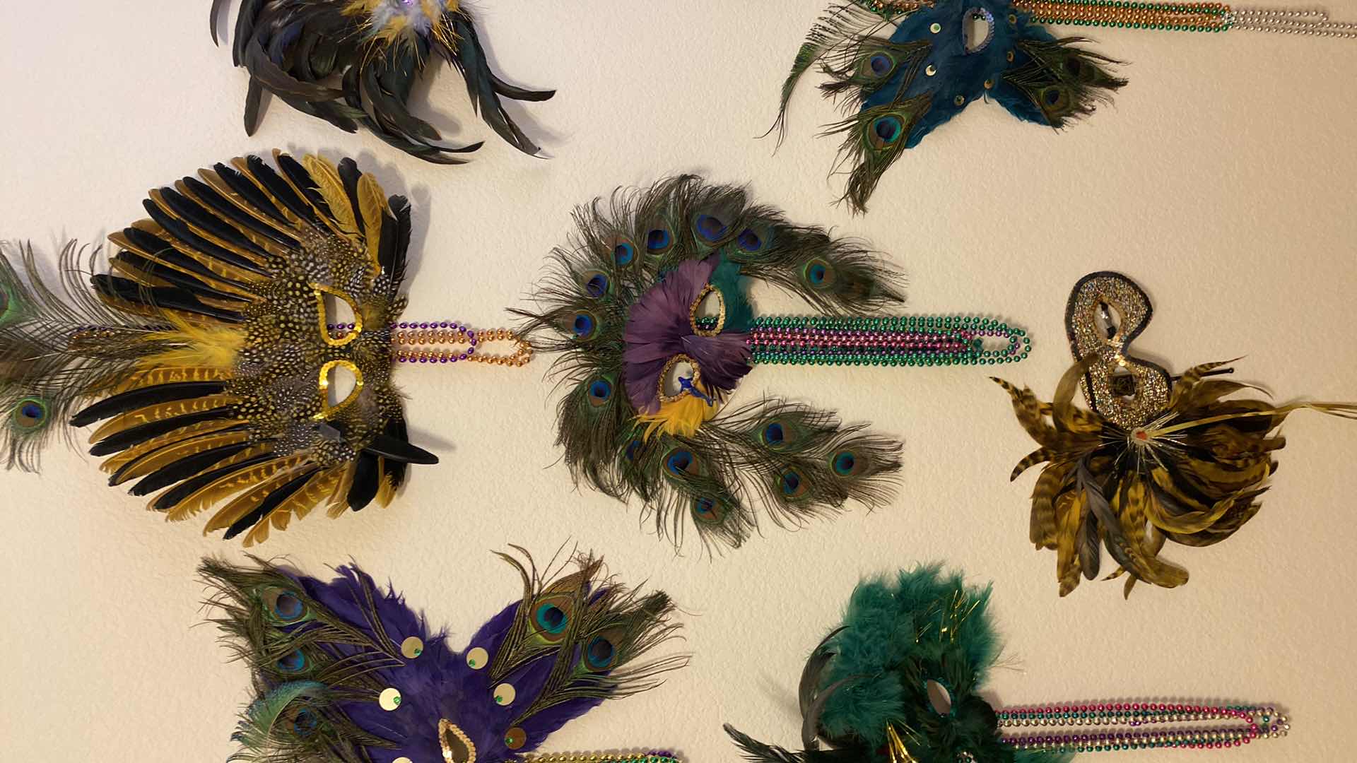 Photo 3 of 8 FEATHERED MASKS