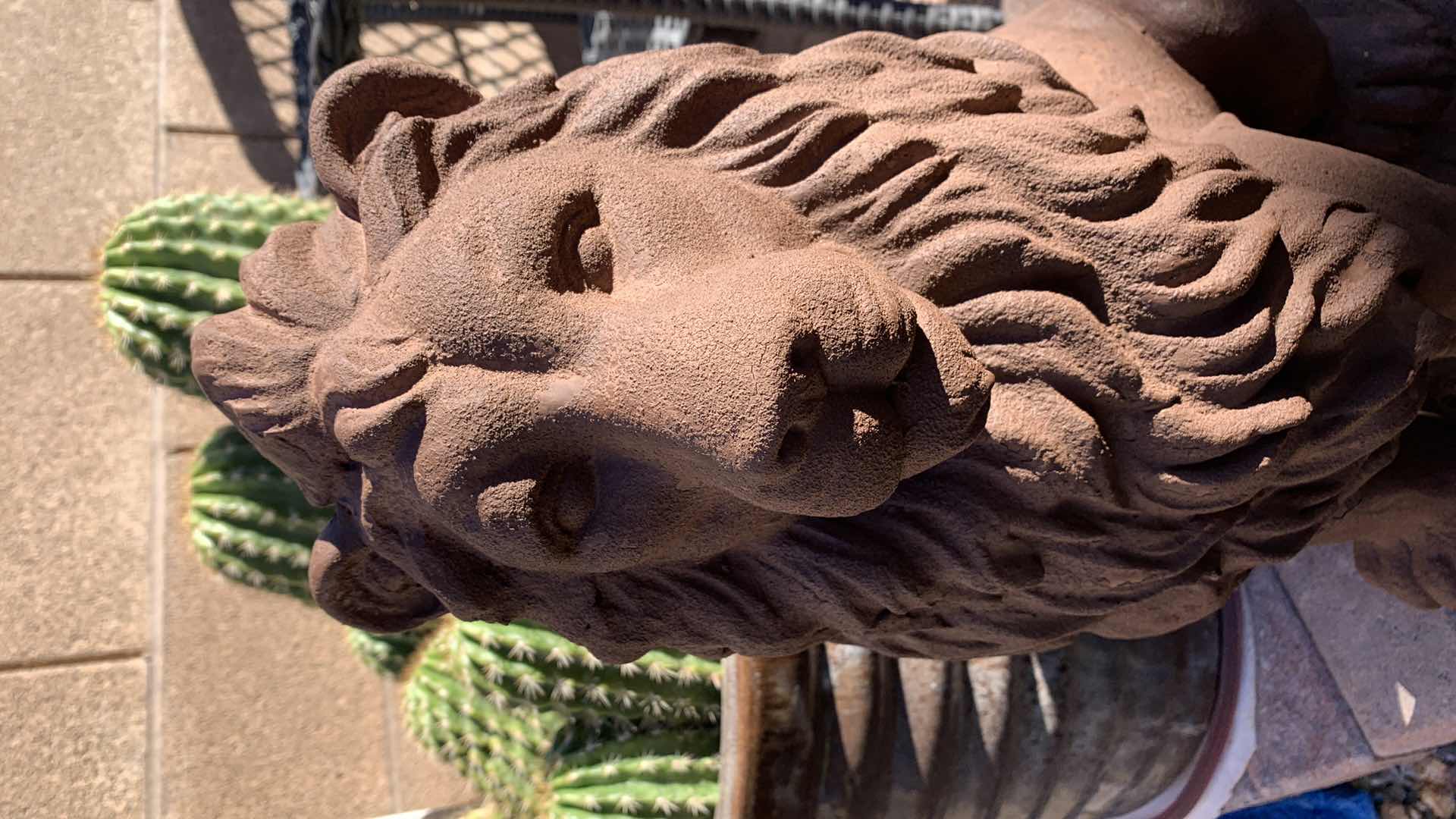 Photo 2 of PLASTER LION 25” TALL