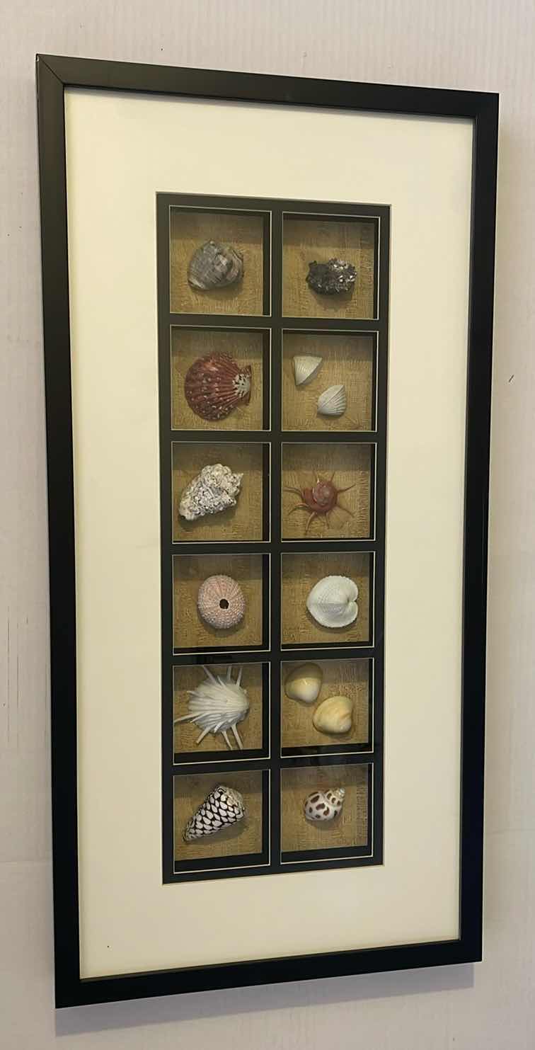 Photo 1 of FRAMED LARGE SEASHELL DISPLAY COASTAL DECOR 16” X 31”