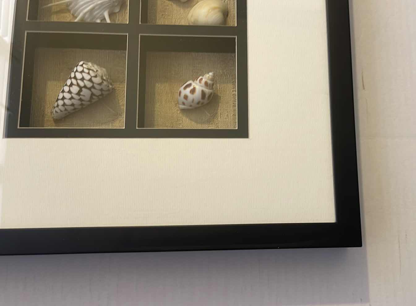 Photo 2 of FRAMED LARGE SEASHELL DISPLAY COASTAL DECOR 16” X 31”