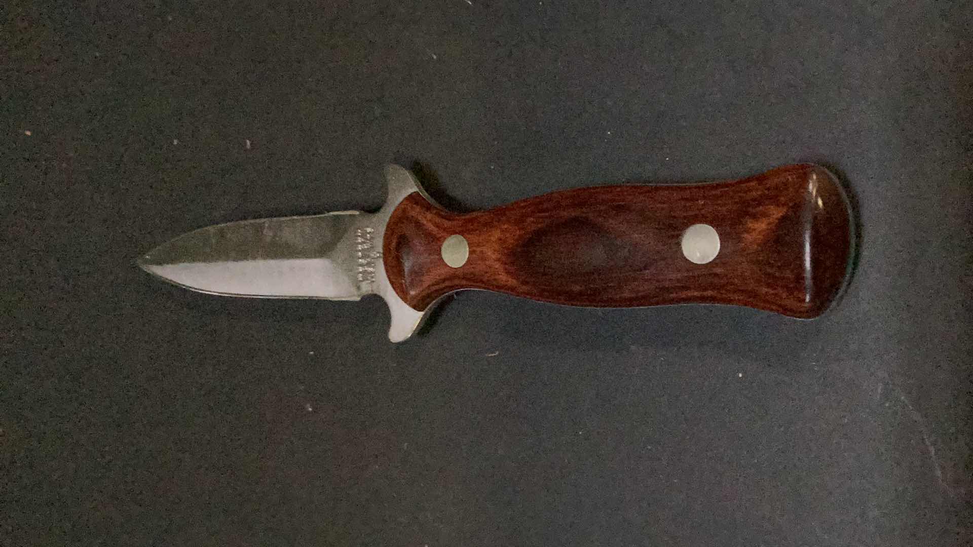 Photo 2 of WESTERN 7” THROWING KNIFE