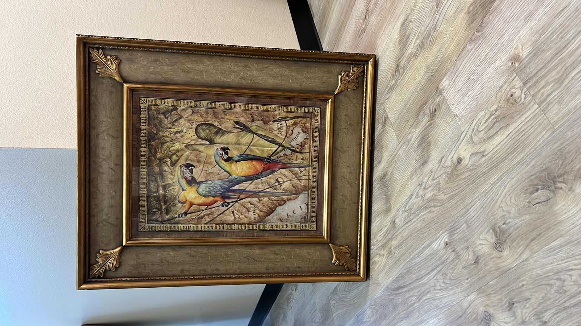 Photo 1 of FRAMED “PARROT” ARTWORK 30” x 36”