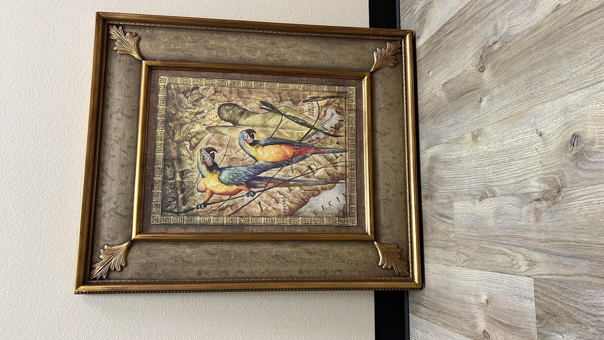 Photo 2 of FRAMED “PARROT” ARTWORK 30” x 36”