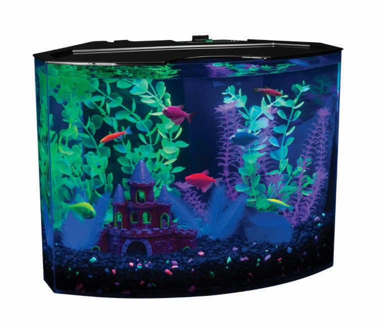 Photo 1 of BRAND NEW - BETA GLOFISH 5 GALLON AQUARIUM KIT WITH LED LIGHT AND FILTER