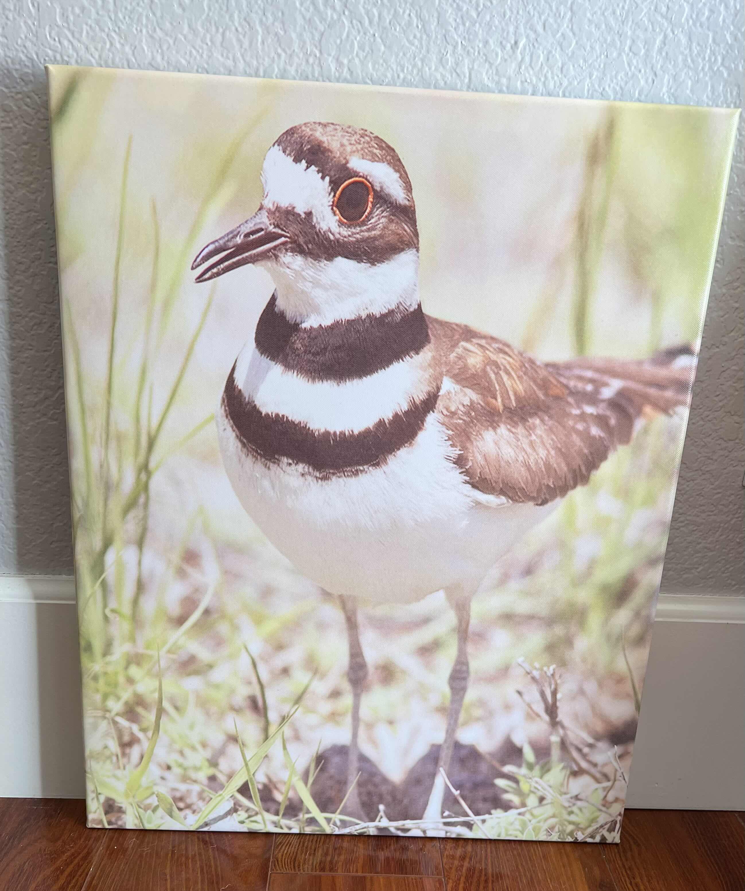 Photo 1 of ARTWORK: BIRD PHOTOGRAPH ON STRETCHED CANVAS. 14” x 18”