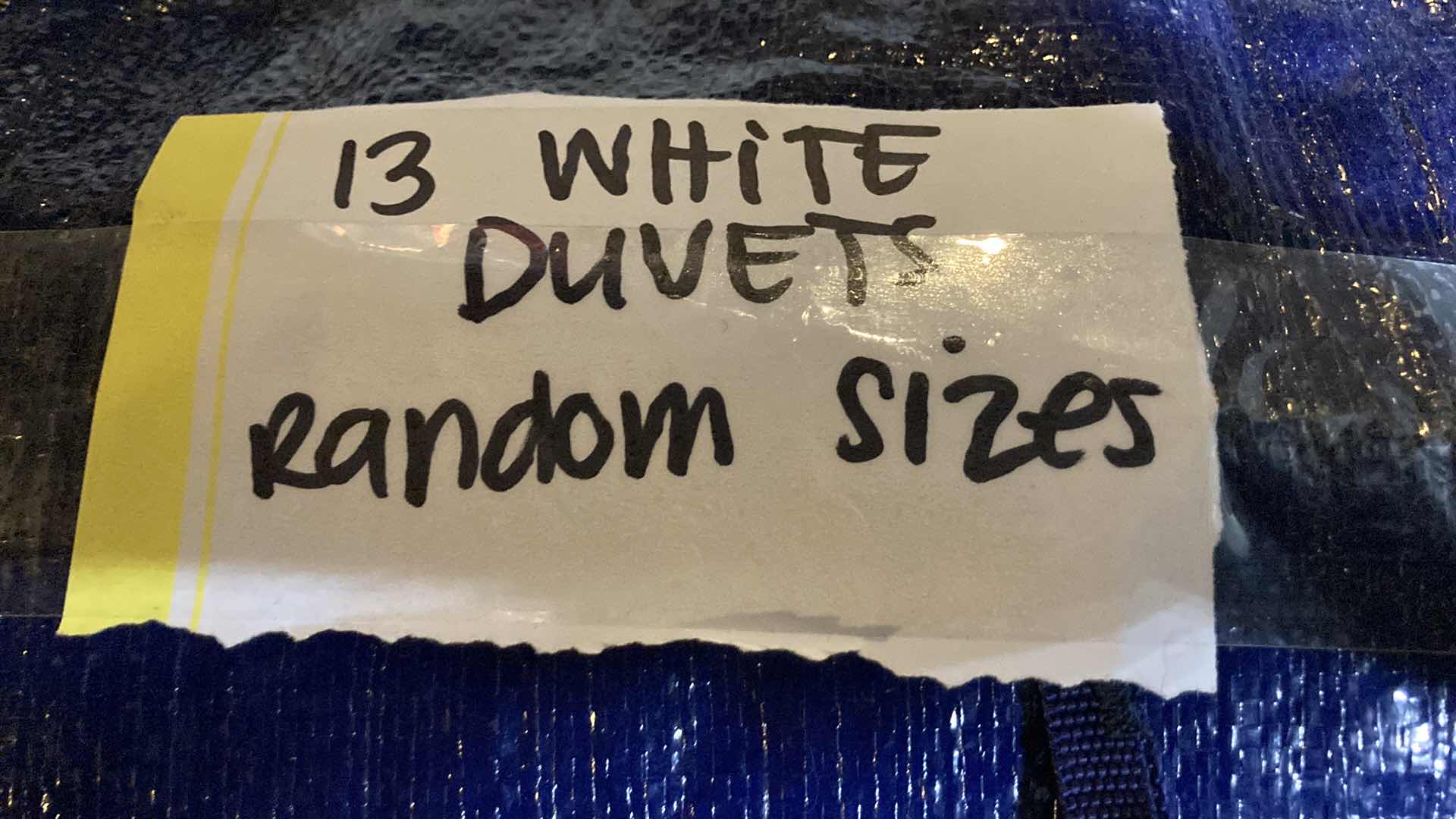 Photo 3 of WHITE DUVETS VARIOUS SIZES (13) W NYLON BAG