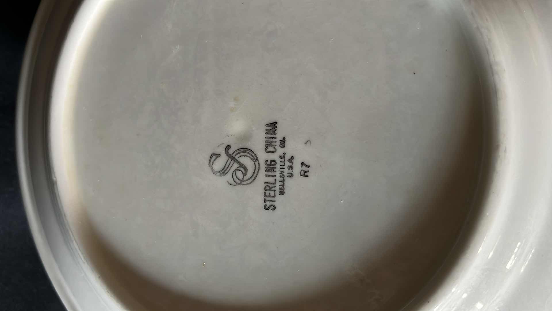 Photo 3 of STERLING CHINA CHOCOLAT DINNER PLATES (8)