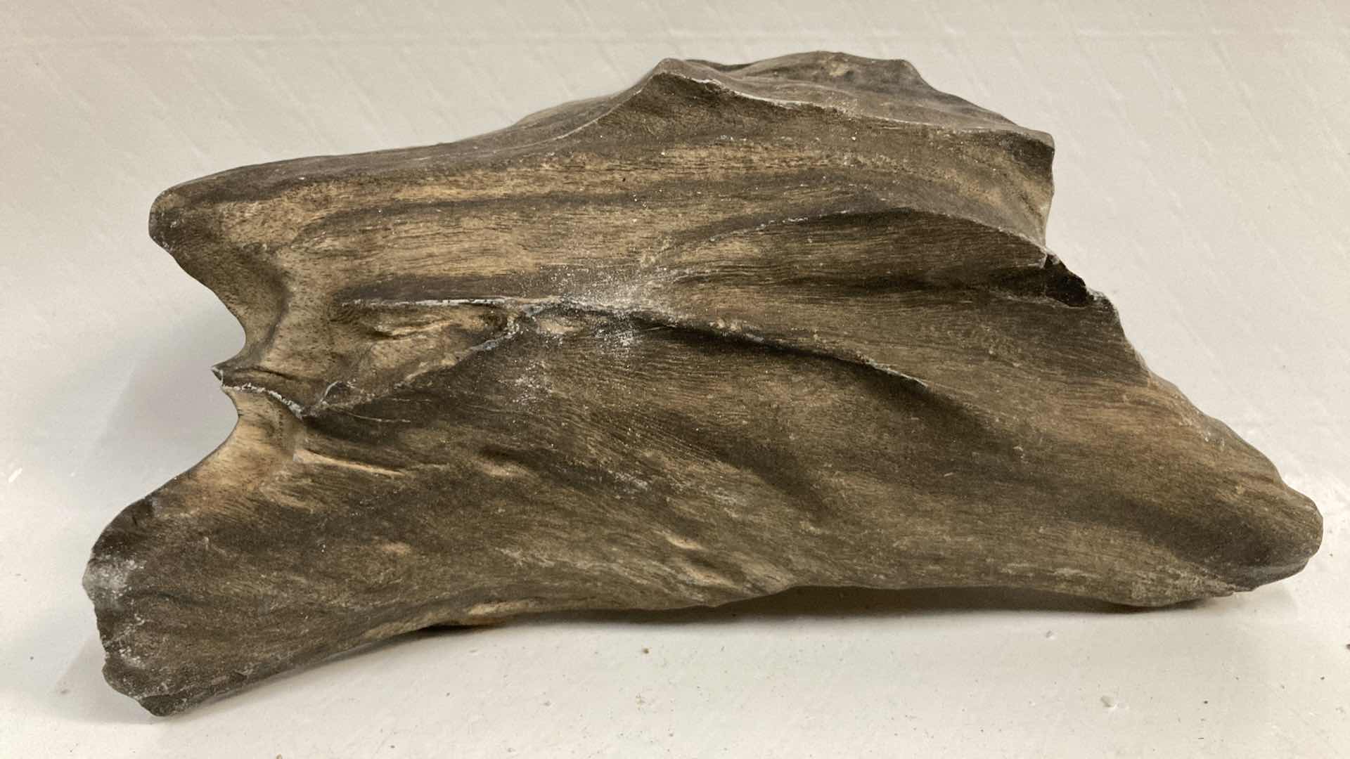 Photo 7 of NATURAL PETRIFIED WOOD 4” X 2.5” H4.5” & 7” X 4” H2.25”