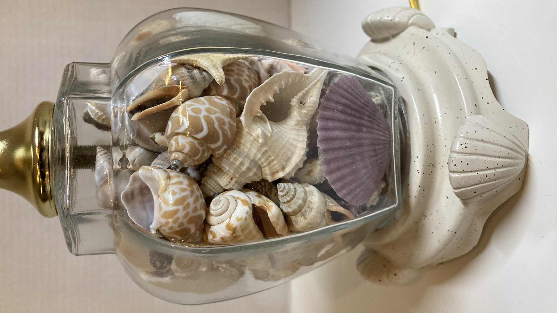 Photo 6 of SECRETS OF THE SEA SEASHELL THEMED & FILLED TABLE LAMP 6” X 15”