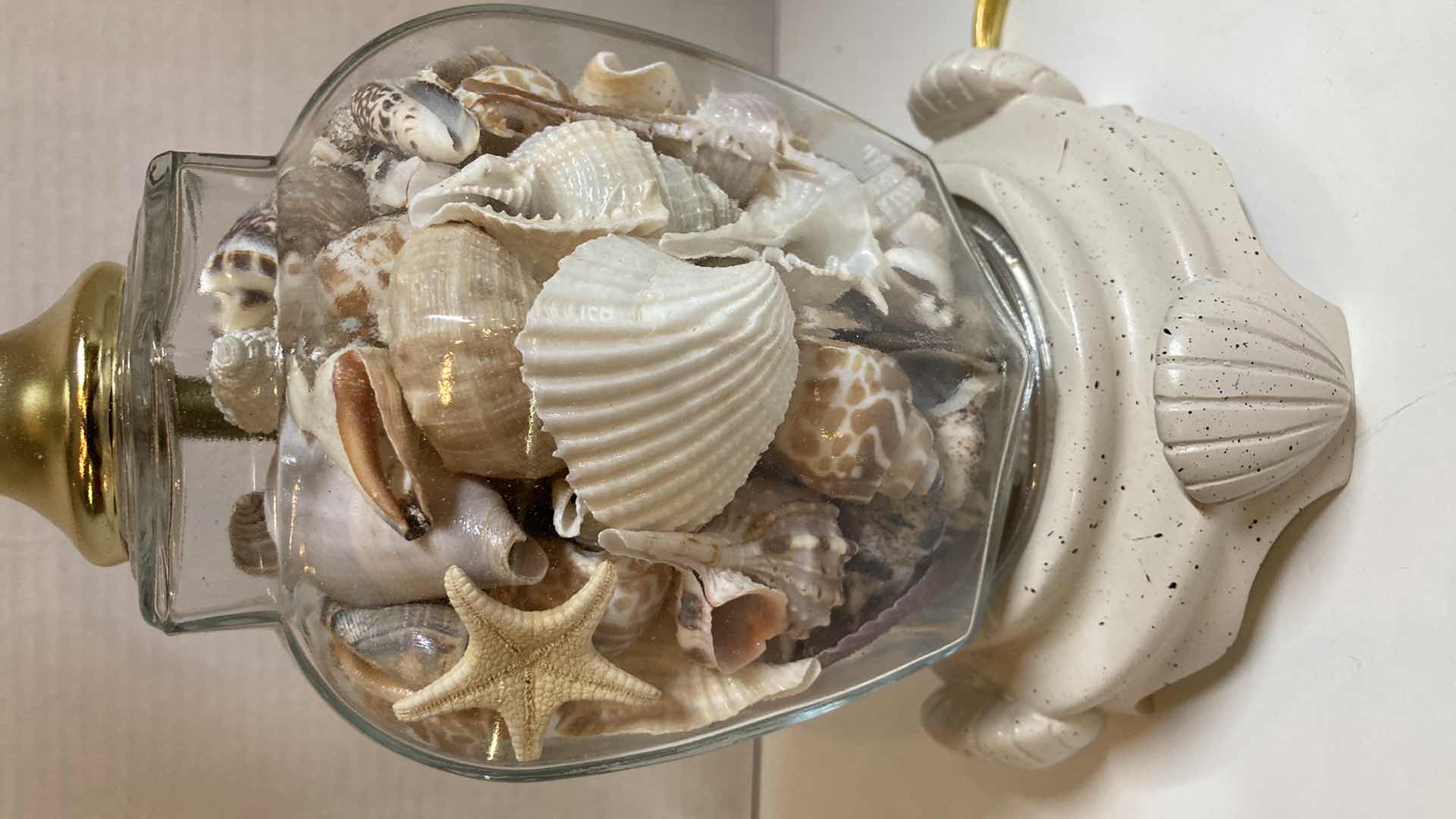 Photo 4 of SECRETS OF THE SEA SEASHELL THEMED & FILLED TABLE LAMP 6” X 15”
