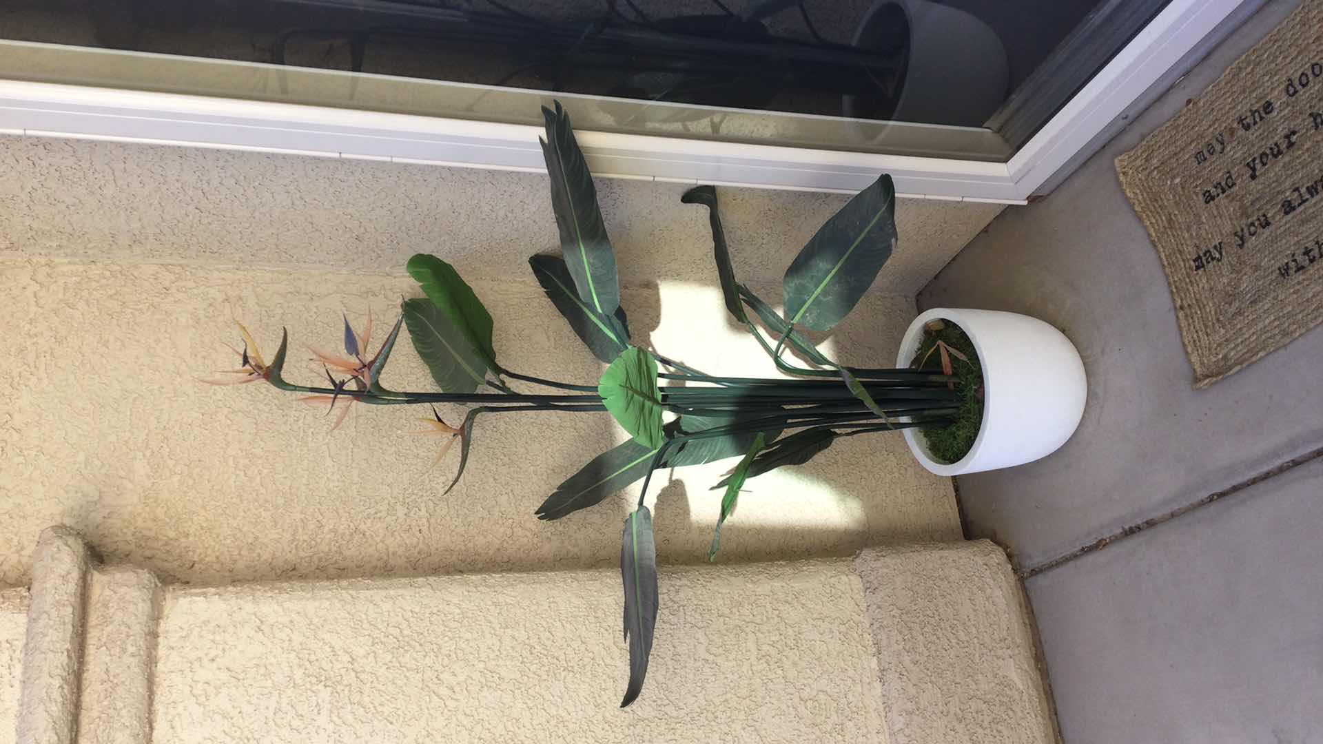 Photo 2 of FAUX POTTED BIRD OF PARADISE PLANT H58”