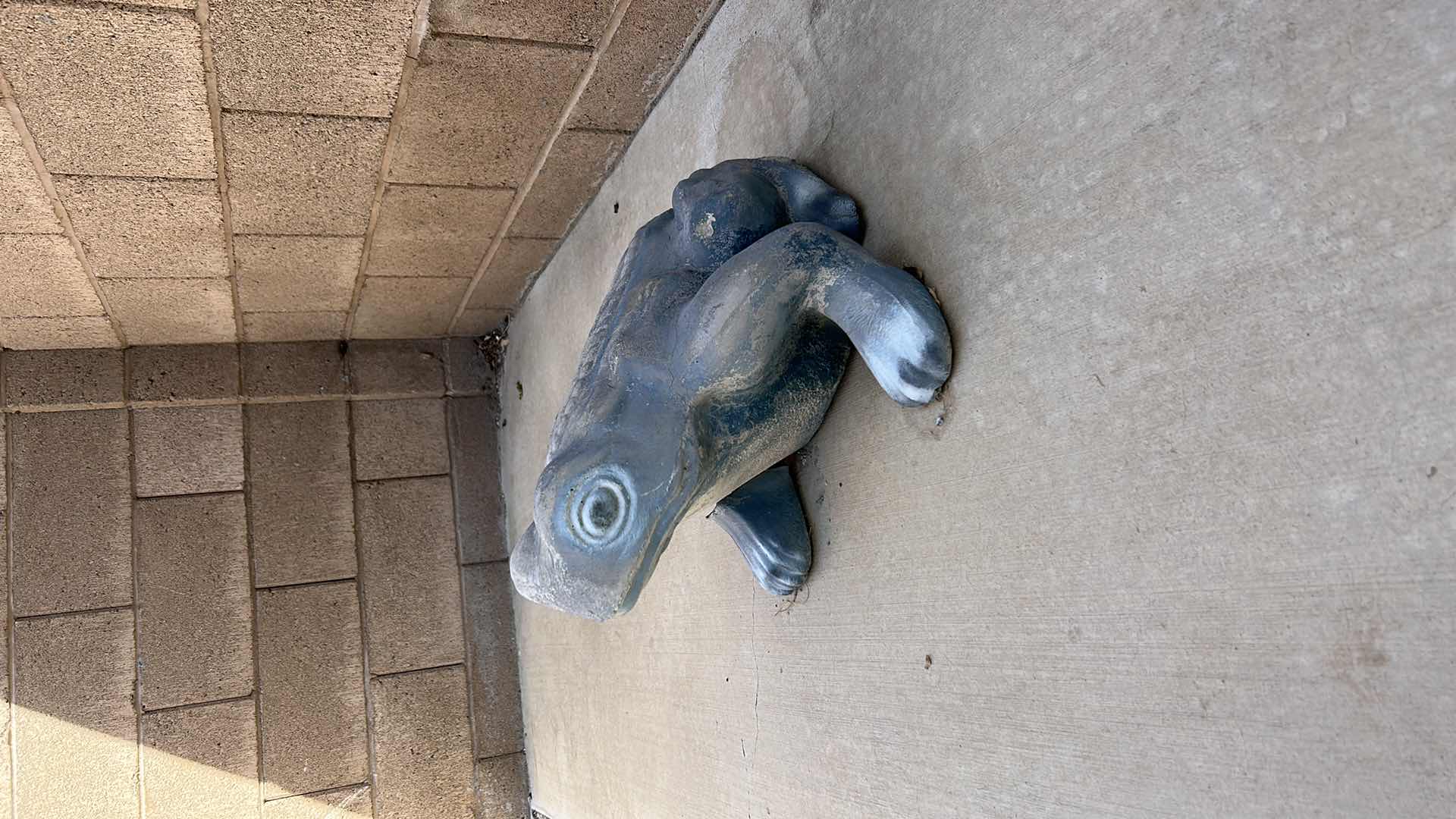 Photo 4 of LARGE OUTDOOR CONCRETE FROG 17” x 17” x H13”