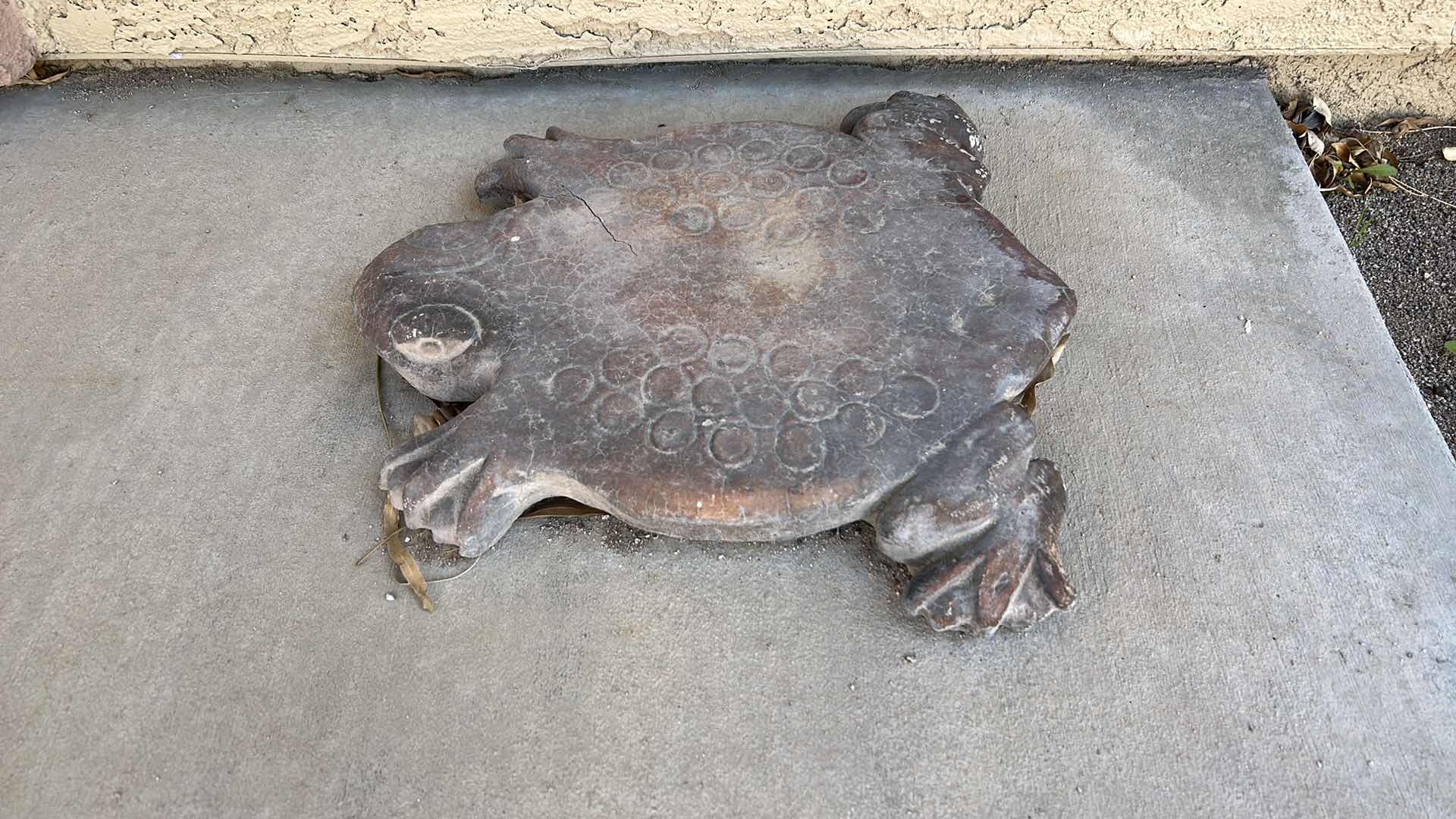 Photo 3 of OUTDOOR DECOR CONCRETE FROG 17” x 17”