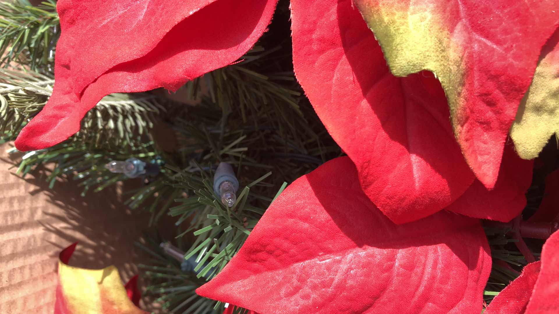 Photo 2 of CHRISTMAS LIGHTED POINSETTIAS DECOR