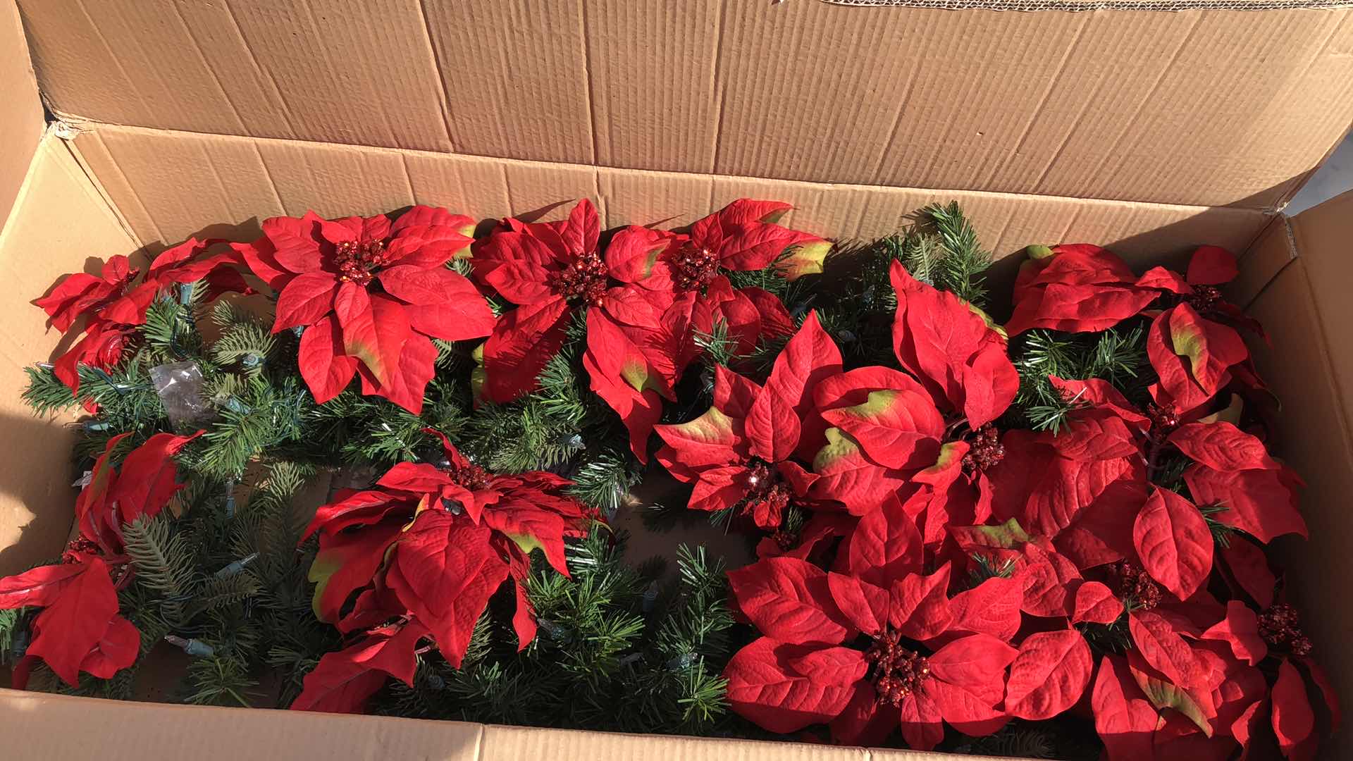 Photo 1 of CHRISTMAS LIGHTED POINSETTIAS DECOR