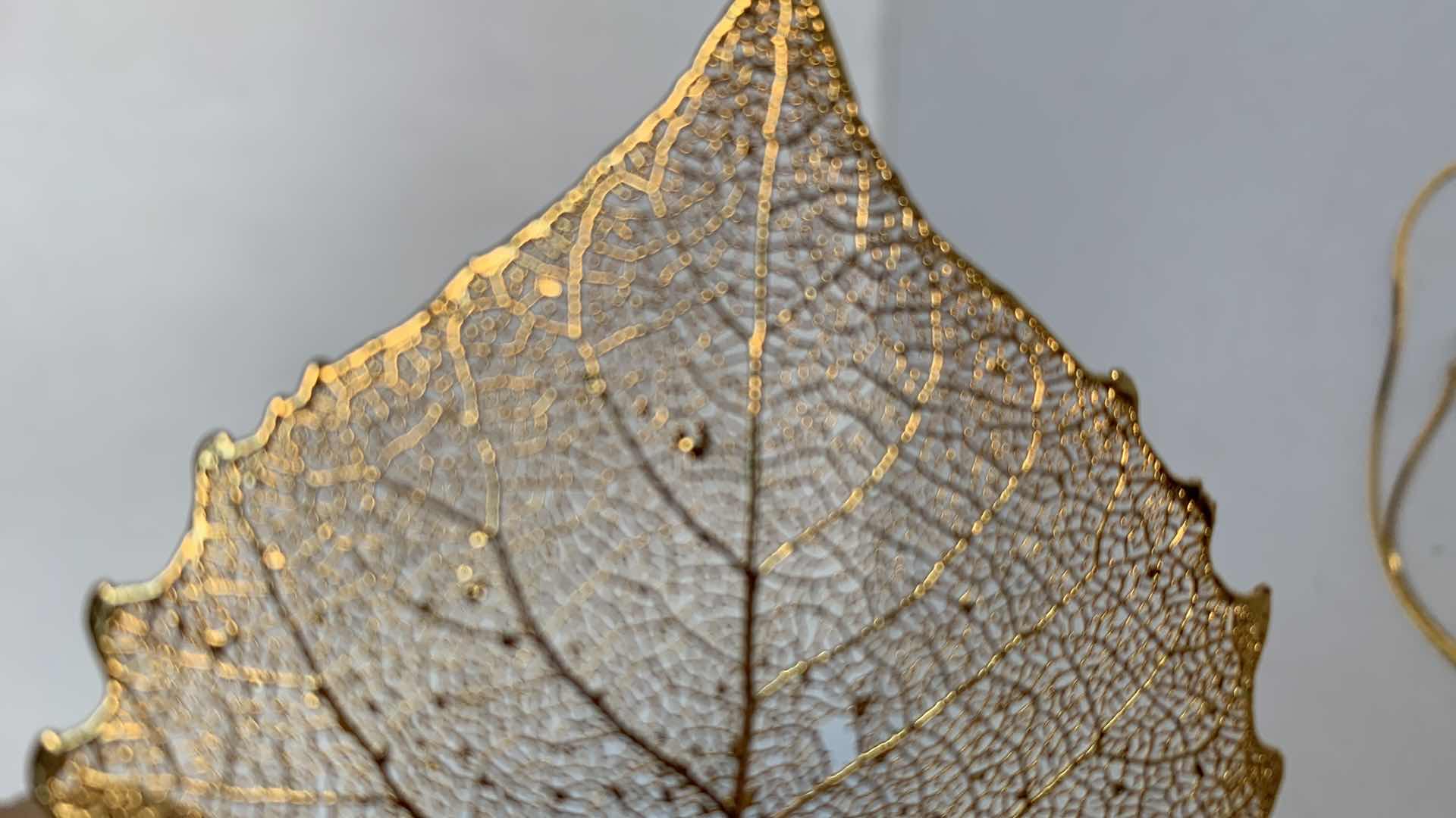 Photo 4 of 24KT. GOLD PLATED LEAF