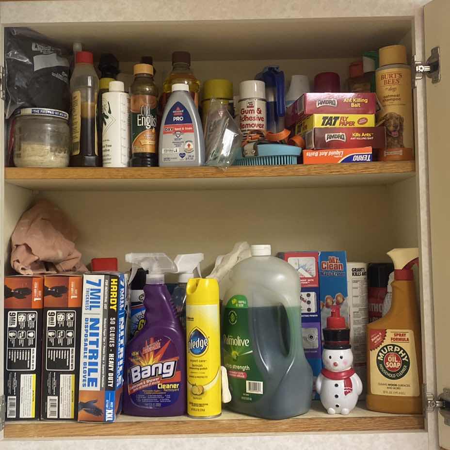 Photo 1 of CONTENTS OF LAUNDRY ROOM CABINET - CLEANING SUPPLIES