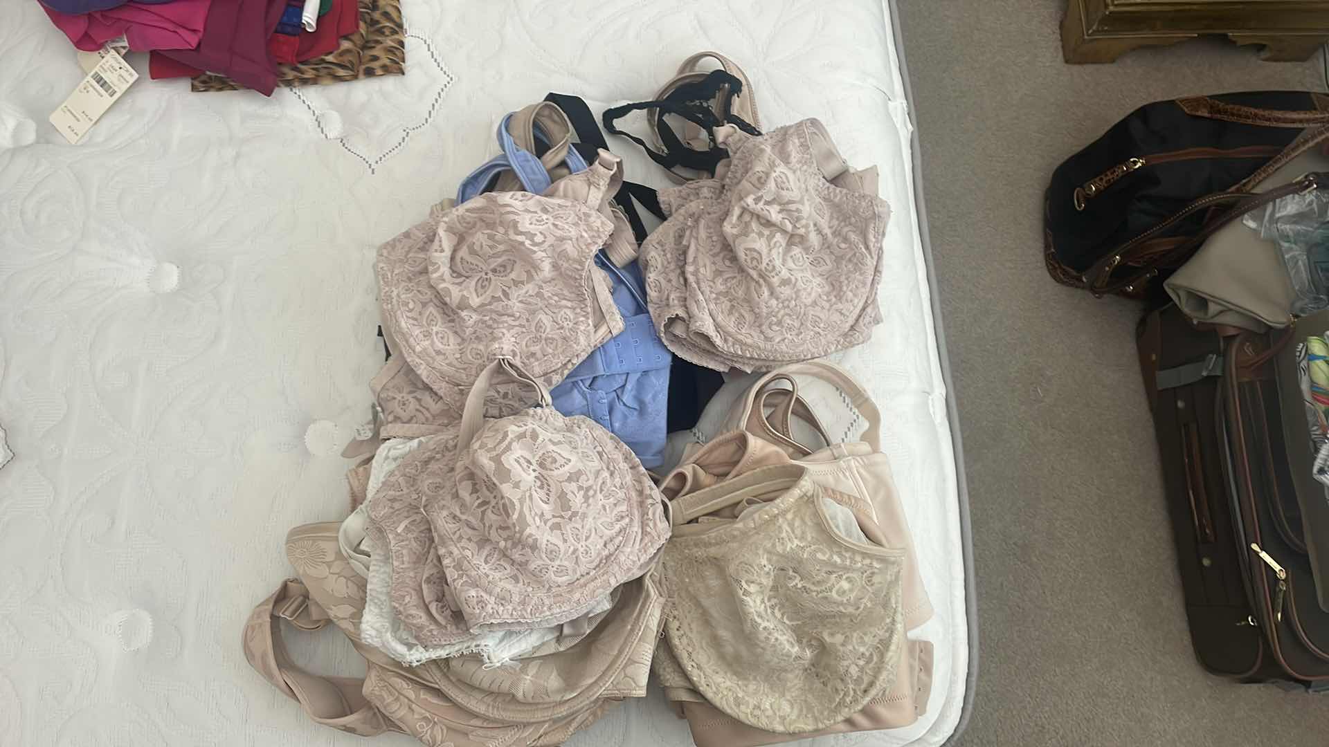 Photo 1 of ASSORTED 38DDD BRAS