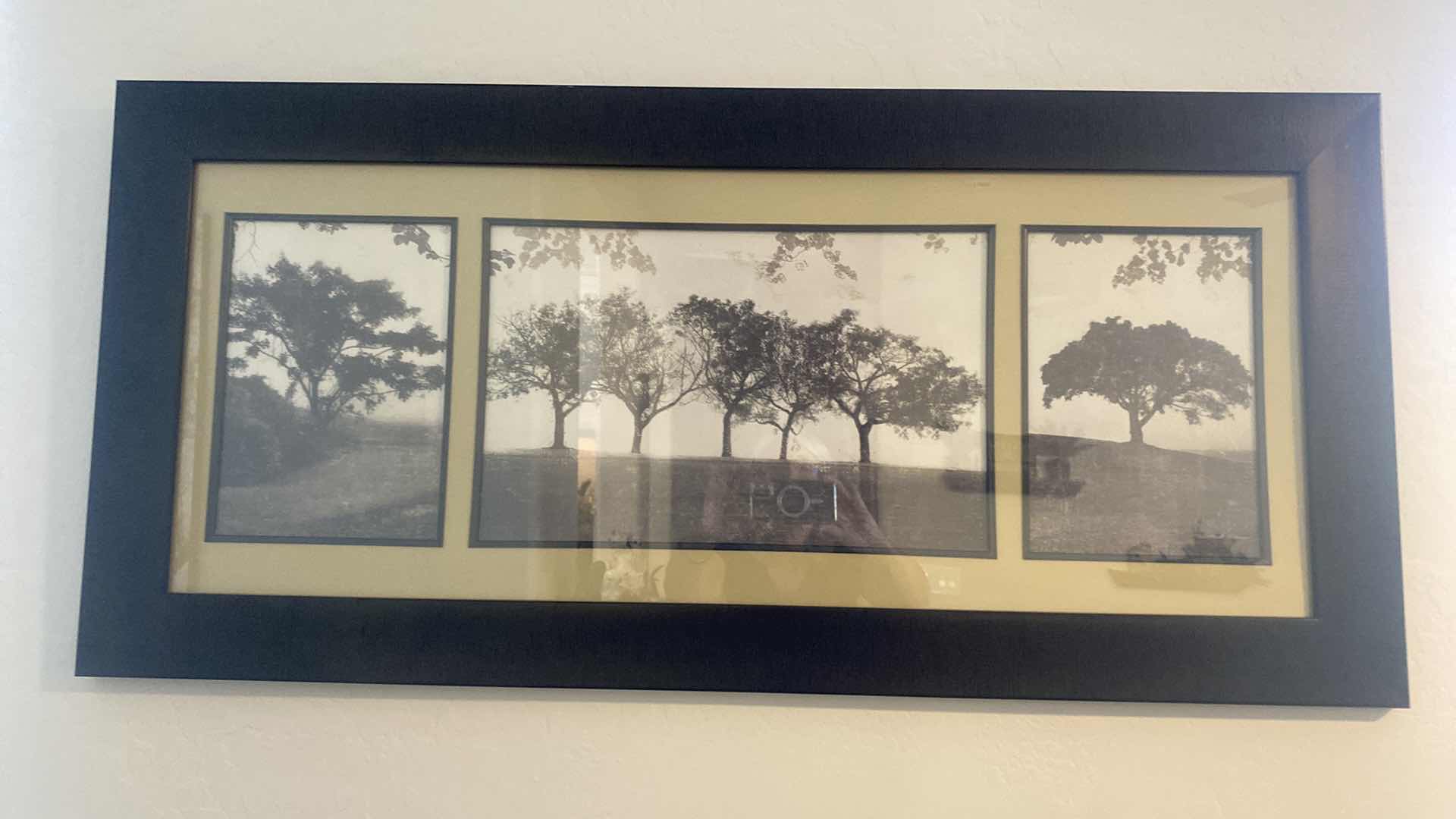 Photo 1 of FRAMED TREES SIGNED PRINT ARTWORK 45” x 21”