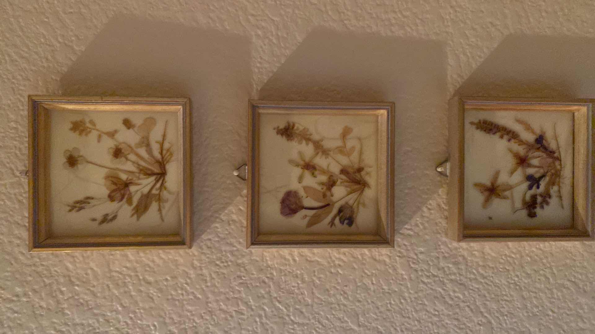 Photo 1 of 3-DRIED FLORAL SHADOW BOX 3 3/4” x 3 3/4”