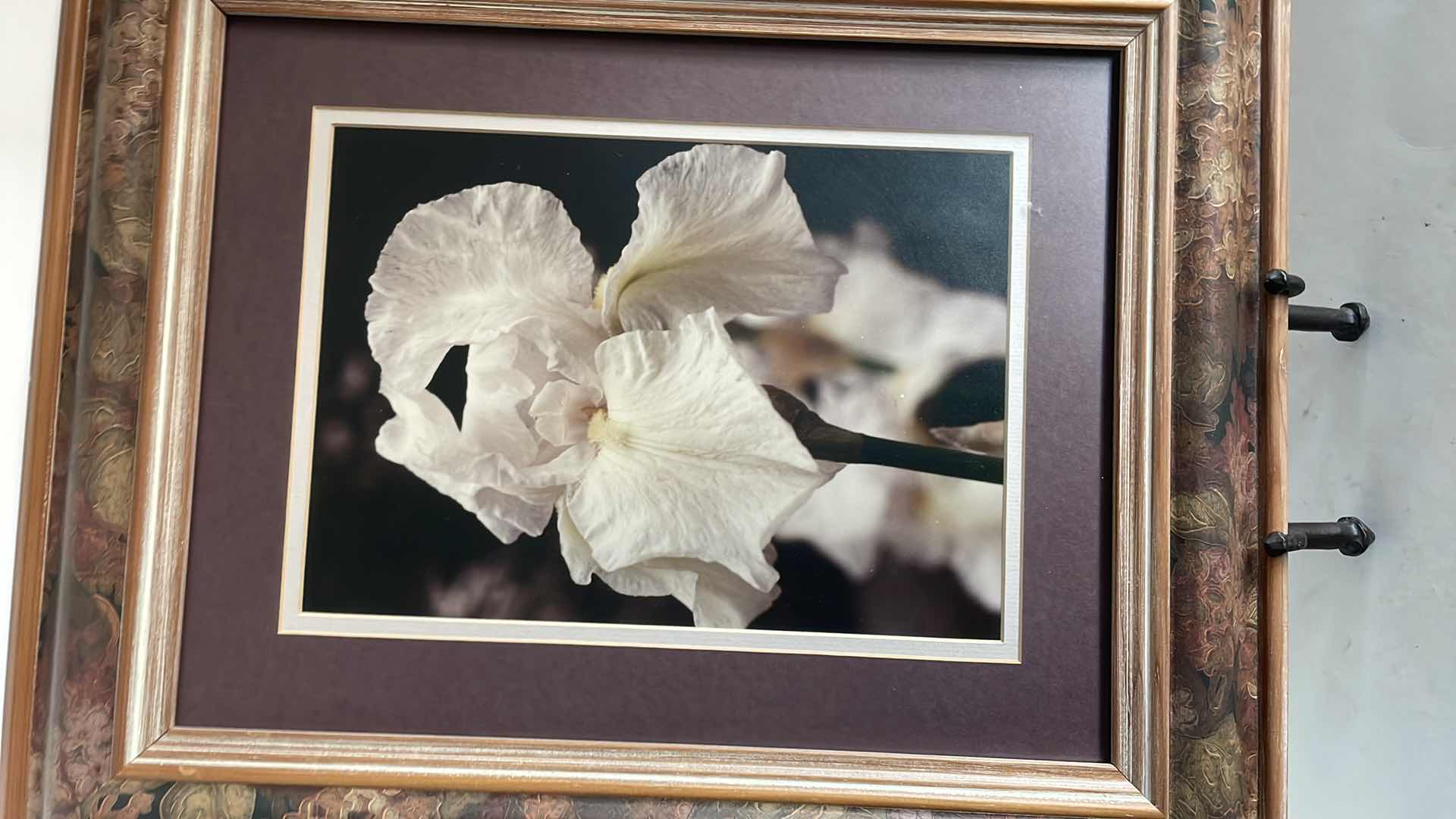 Photo 2 of FRAMED FLORAL ARTWORK 17”x 19.5”H