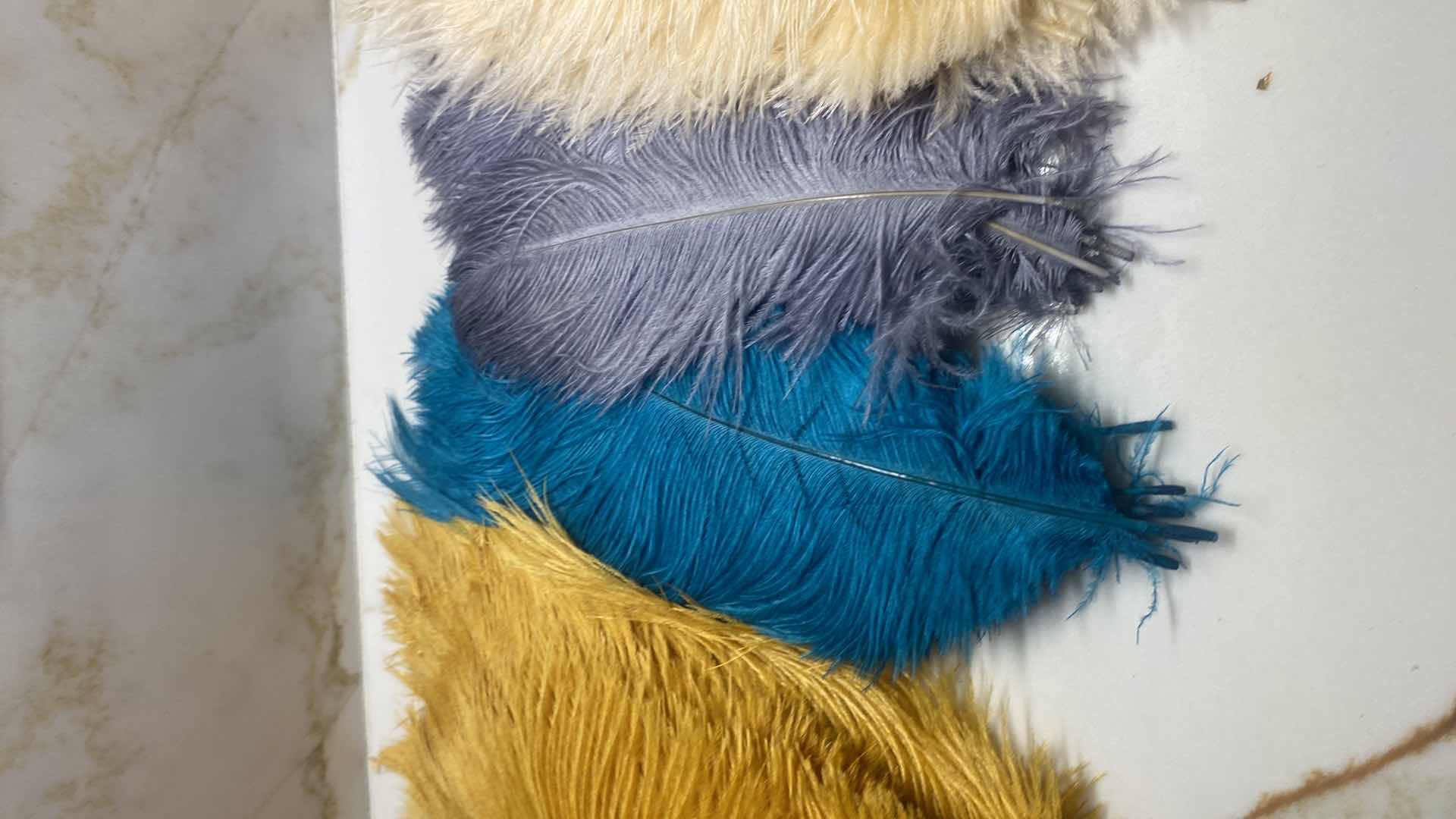 Photo 1 of OSTRICH FEATHERS ASSORTMENT