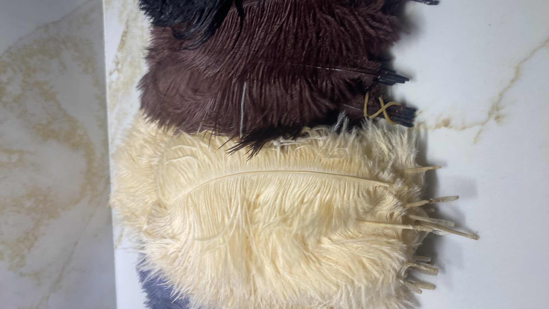 Photo 1 of OSTRICH FEATHERS ASSORTMENT
