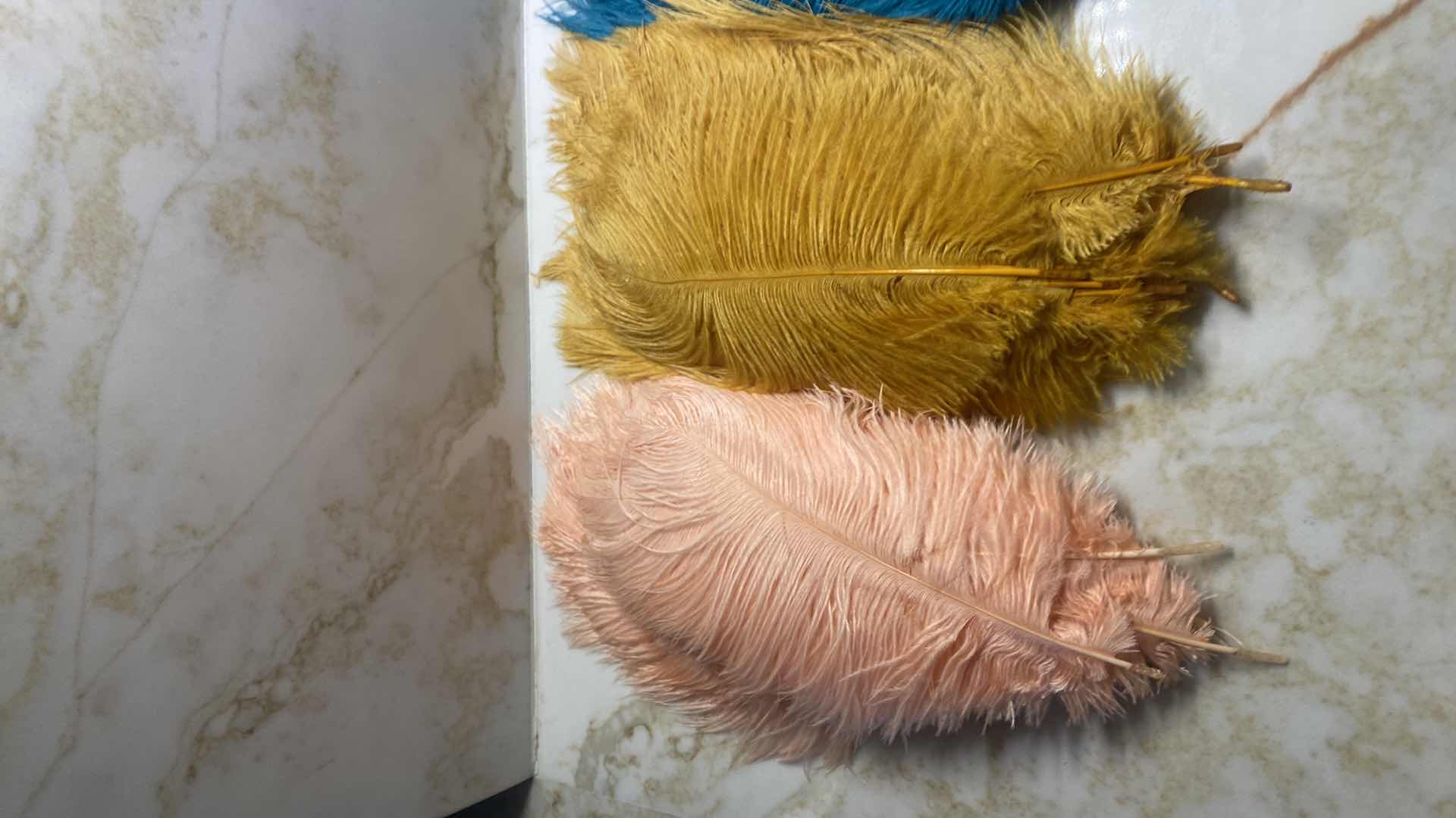 Photo 1 of OSTRICH FEATHERS ASSORTMENT