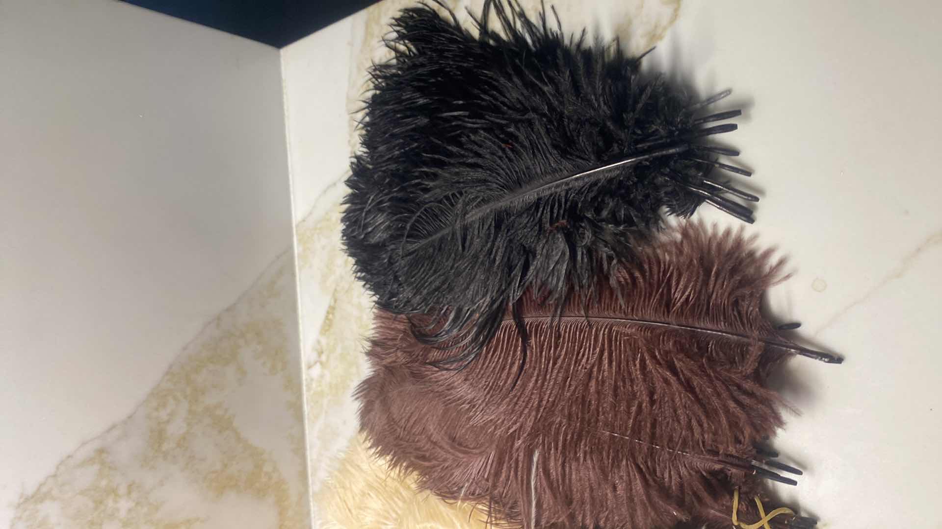 Photo 1 of OSTRICH FEATHERS ASSORTMENT