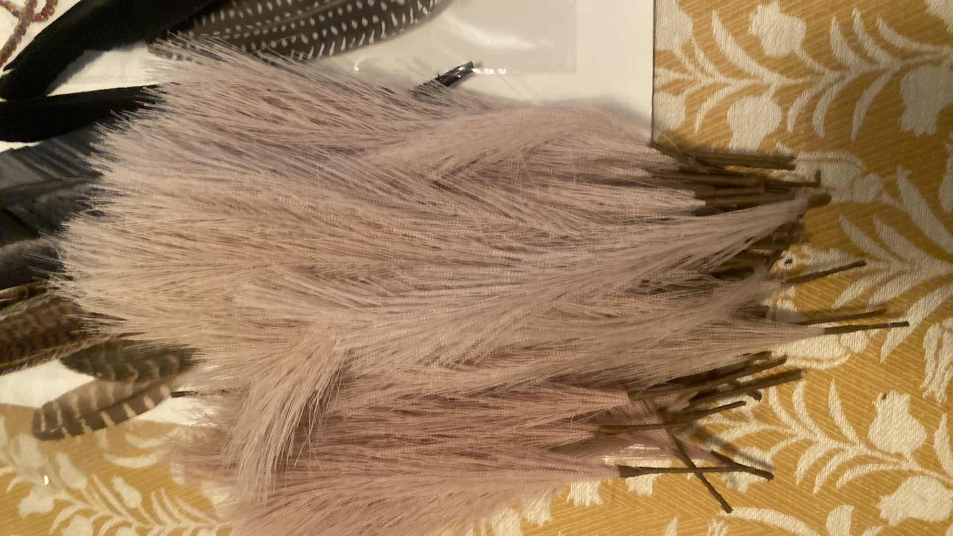 Photo 1 of FEATHERS ASSORTMENT & DRIED FLORAL